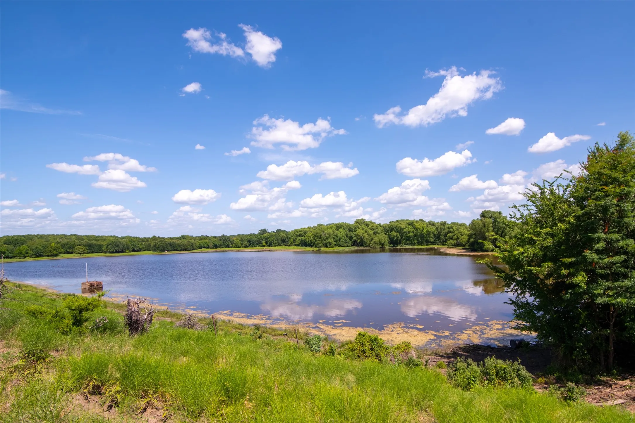 Improved Land For Sale in Collin County , TBD CR 663, Farmersville, Texas 75442, 0, 0, Garage spaces, 0 Sqft, built in 0, Price $1,851,300, mls#21331964, Real Estate Agent in Farmersville, Homes For Sale in Collin county, Homes For Sale in Farmersville, Realtor in Farmersville Texas, Real Estate Brokerage Independent Realty Texas, Luminita Cordes Realtor