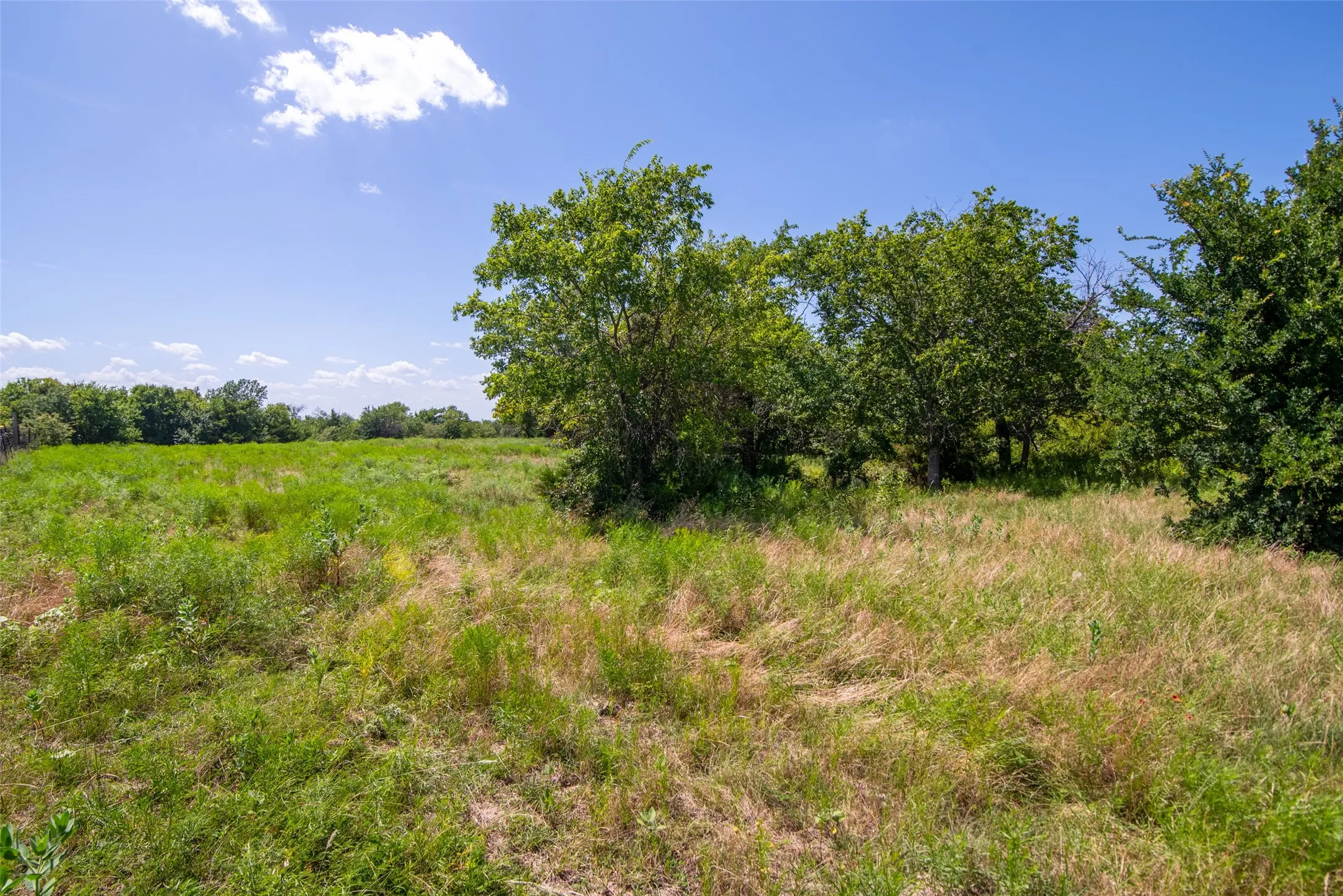 Improved Land For Sale in Collin County , TBD CR 663, Farmersville, Texas 75442, 0, 0, Garage spaces, 0 Sqft, built in 0, Price $1,851,300, mls#21331964, Real Estate Agent in Farmersville, Homes For Sale in Collin county, Homes For Sale in Farmersville, Realtor in Farmersville Texas, Real Estate Brokerage Independent Realty Texas, Luminita Cordes Realtor