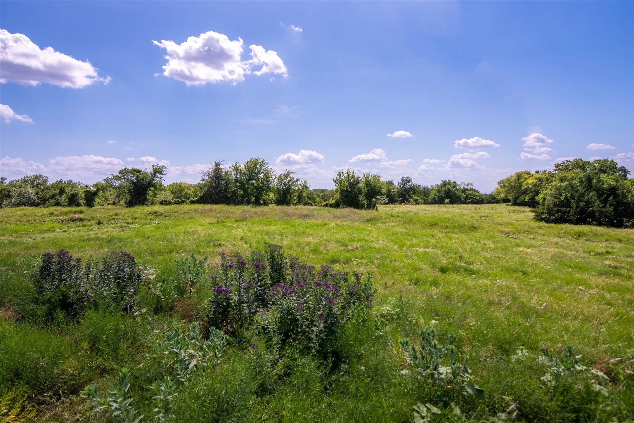 Improved Land For Sale in Collin County , TBD CR 663, Farmersville, Texas 75442, 0, 0, Garage spaces, 0 Sqft, built in 0, Price $1,851,300, mls#21331964, Real Estate Agent in Farmersville, Homes For Sale in Collin county, Homes For Sale in Farmersville, Realtor in Farmersville Texas, Real Estate Brokerage Independent Realty Texas, Luminita Cordes Realtor
