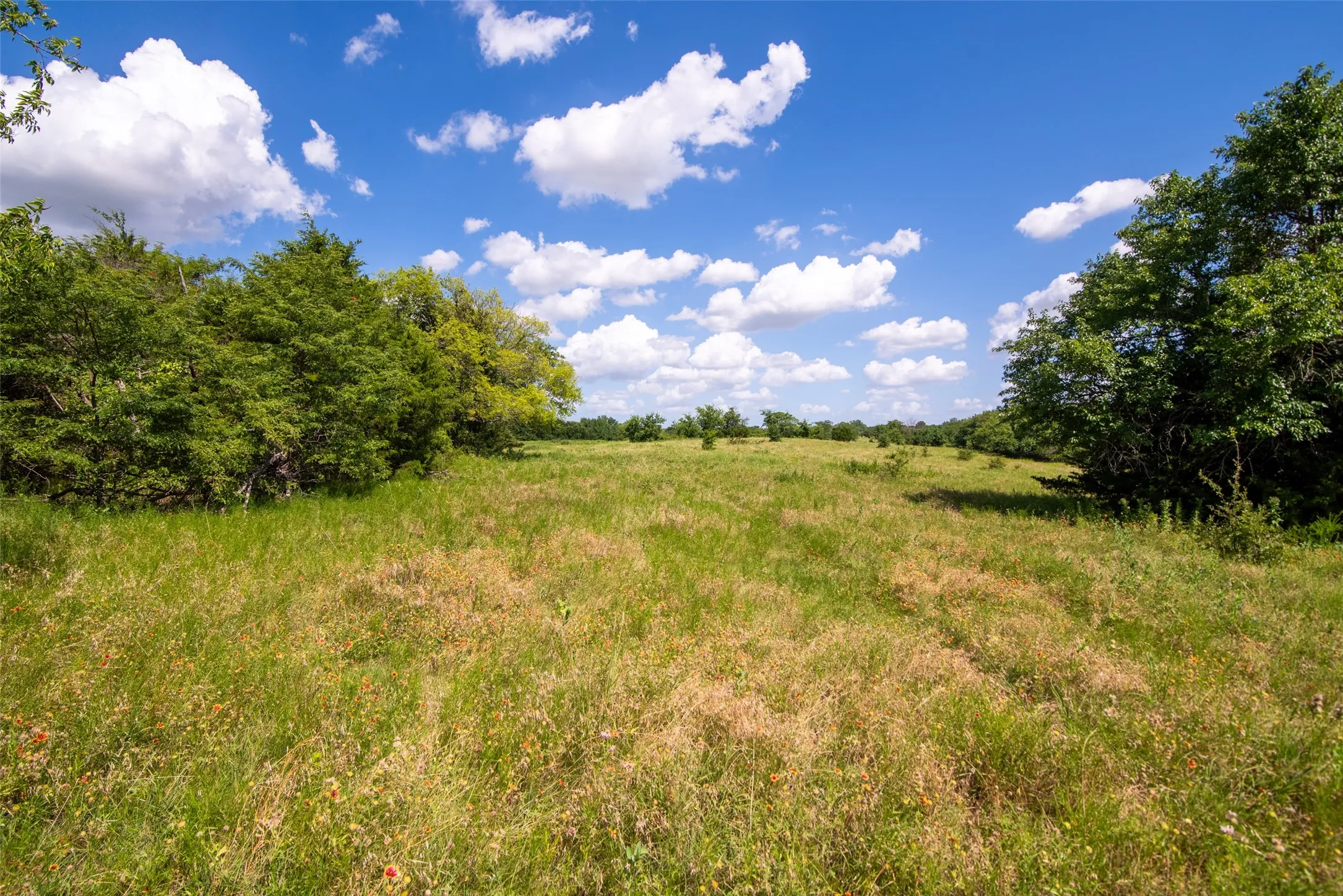 Improved Land For Sale in Collin County , TBD CR 663, Farmersville, Texas 75442, 0, 0, Garage spaces, 0 Sqft, built in 0, Price $1,851,300, mls#21331964, Real Estate Agent in Farmersville, Homes For Sale in Collin county, Homes For Sale in Farmersville, Realtor in Farmersville Texas, Real Estate Brokerage Independent Realty Texas, Luminita Cordes Realtor