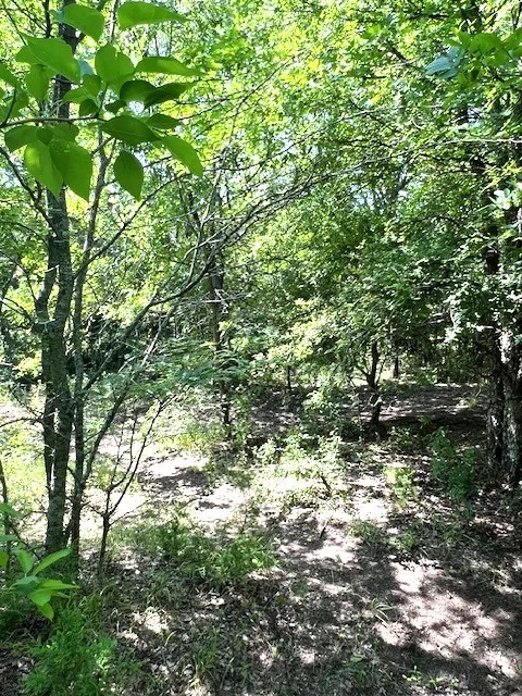 Improved Land For Sale in Collin County , TBD CR 663, Farmersville, Texas 75442, 0, 0, Garage spaces, 0 Sqft, built in 0, Price $1,851,300, mls#21331964, Real Estate Agent in Farmersville, Homes For Sale in Collin county, Homes For Sale in Farmersville, Realtor in Farmersville Texas, Real Estate Brokerage Independent Realty Texas, Luminita Cordes Realtor