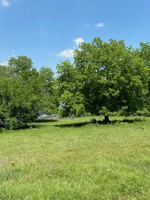 Improved Land For Sale in Collin County , TBD CR 663, Farmersville, Texas 75442, 0, 0, Garage spaces, 0 Sqft, built in 0, Price $1,851,300, mls#21331964, Real Estate Agent in Farmersville, Homes For Sale in Collin county, Homes For Sale in Farmersville, Realtor in Farmersville Texas, Real Estate Brokerage Independent Realty Texas, Luminita Cordes Realtor