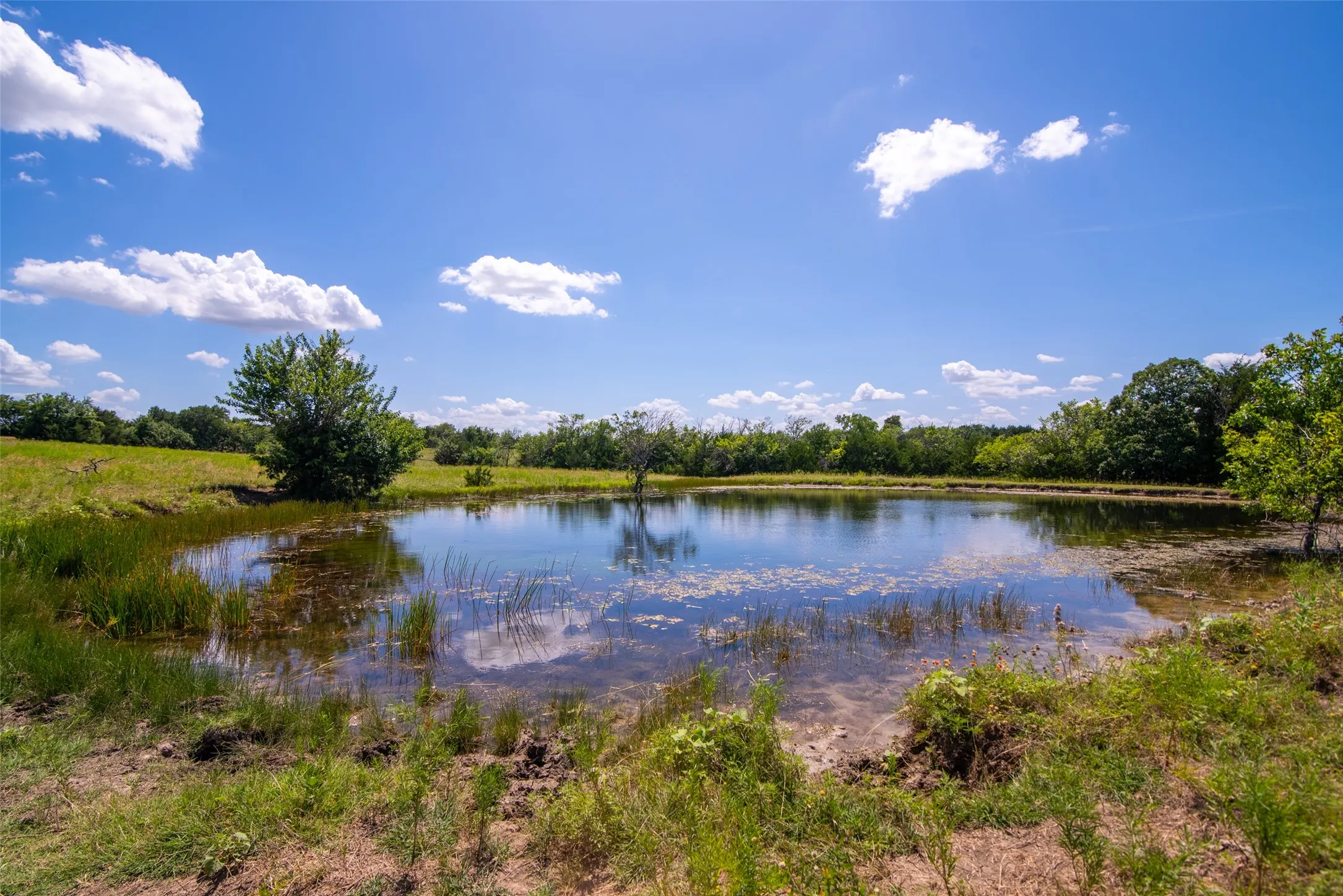 Improved Land For Sale in Collin County , TBD CR 663, Farmersville, Texas 75442, 0, 0, Garage spaces, 0 Sqft, built in 0, Price $1,851,300, mls#21331964, Real Estate Agent in Farmersville, Homes For Sale in Collin county, Homes For Sale in Farmersville, Realtor in Farmersville Texas, Real Estate Brokerage Independent Realty Texas, Luminita Cordes Realtor