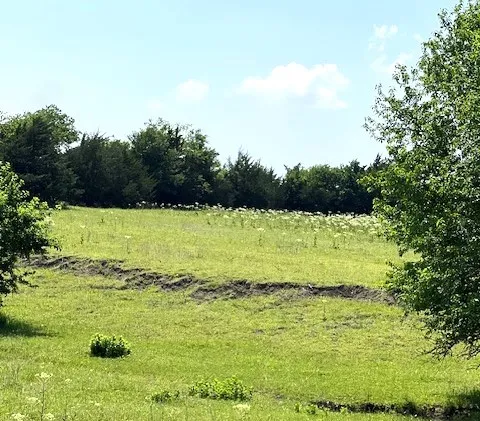 Improved Land For Sale in Collin County , TBD CR 663, Farmersville, Texas 75442, 0, 0, Garage spaces, 0 Sqft, built in 0, Price $1,851,300, mls#21331964, Real Estate Agent in Farmersville, Homes For Sale in Collin county, Homes For Sale in Farmersville, Realtor in Farmersville Texas, Real Estate Brokerage Independent Realty Texas, Luminita Cordes Realtor