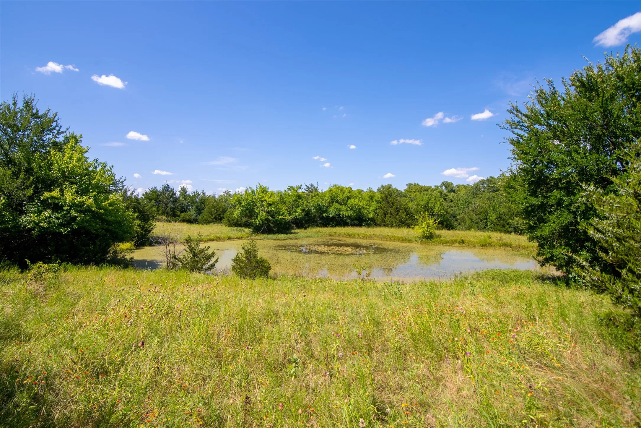 Improved Land For Sale in Collin County , TBD CR 663, Farmersville, Texas 75442, 0, 0, Garage spaces, 0 Sqft, built in 0, Price $1,851,300, mls#21331964, Real Estate Agent in Farmersville, Homes For Sale in Collin county, Homes For Sale in Farmersville, Realtor in Farmersville Texas, Real Estate Brokerage Independent Realty Texas, Luminita Cordes Realtor