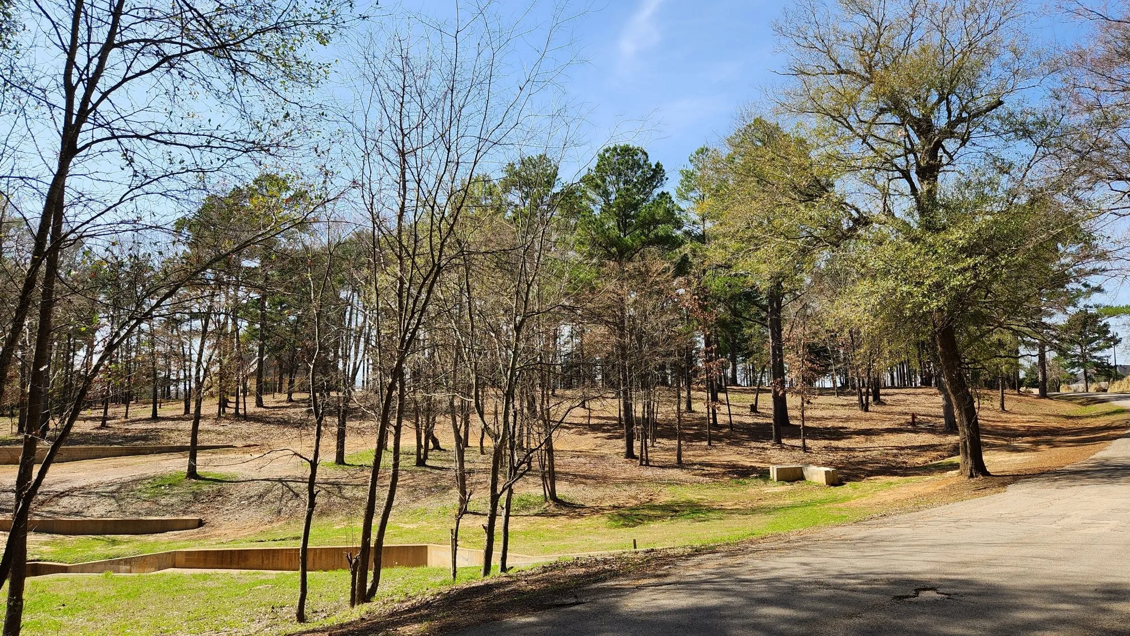 Unimproved Land For Sale in Smith County , 22540 CR 1174, Bullard, Texas 75757, 0, 0, Garage spaces, 0 Sqft, built in 0, Price $450,000, mls#21331995, Real Estate Agent in Bullard, Homes For Sale in Smith county, Homes For Sale in Bullard, Realtor in Bullard Texas, Real Estate Brokerage Independent Realty Texas, Luminita Cordes Realtor
