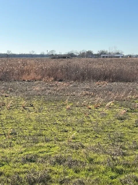 Improved Land For Sale in Fannin County , tbd County Road 1240, Savoy, Texas 75479, 0, 0, Garage spaces, 0 Sqft, built in 0, Price $145,000, mls#21332006, Real Estate Agent in Savoy, Homes For Sale in Fannin county, Homes For Sale in Savoy, Realtor in Savoy Texas, Real Estate Brokerage Independent Realty Texas, Luminita Cordes Realtor