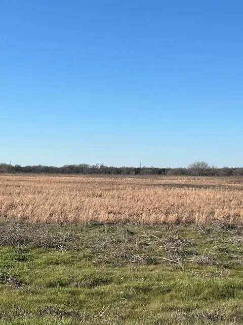 Improved Land For Sale in Fannin County , tbd County Road 1240, Savoy, Texas 75479, 0, 0, Garage spaces, 0 Sqft, built in 0, Price $145,000, mls#21332006, Real Estate Agent in Savoy, Homes For Sale in Fannin county, Homes For Sale in Savoy, Realtor in Savoy Texas, Real Estate Brokerage Independent Realty Texas, Luminita Cordes Realtor