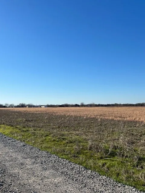 Improved Land For Sale in Fannin County , tbd County Road 1240, Savoy, Texas 75479, 0, 0, Garage spaces, 0 Sqft, built in 0, Price $145,000, mls#21332006, Real Estate Agent in Savoy, Homes For Sale in Fannin county, Homes For Sale in Savoy, Realtor in Savoy Texas, Real Estate Brokerage Independent Realty Texas, Luminita Cordes Realtor