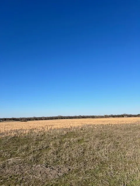 Improved Land For Sale in Fannin County , tbd County Road 1240, Savoy, Texas 75479, 0, 0, Garage spaces, 0 Sqft, built in 0, Price $145,000, mls#21332006, Real Estate Agent in Savoy, Homes For Sale in Fannin county, Homes For Sale in Savoy, Realtor in Savoy Texas, Real Estate Brokerage Independent Realty Texas, Luminita Cordes Realtor