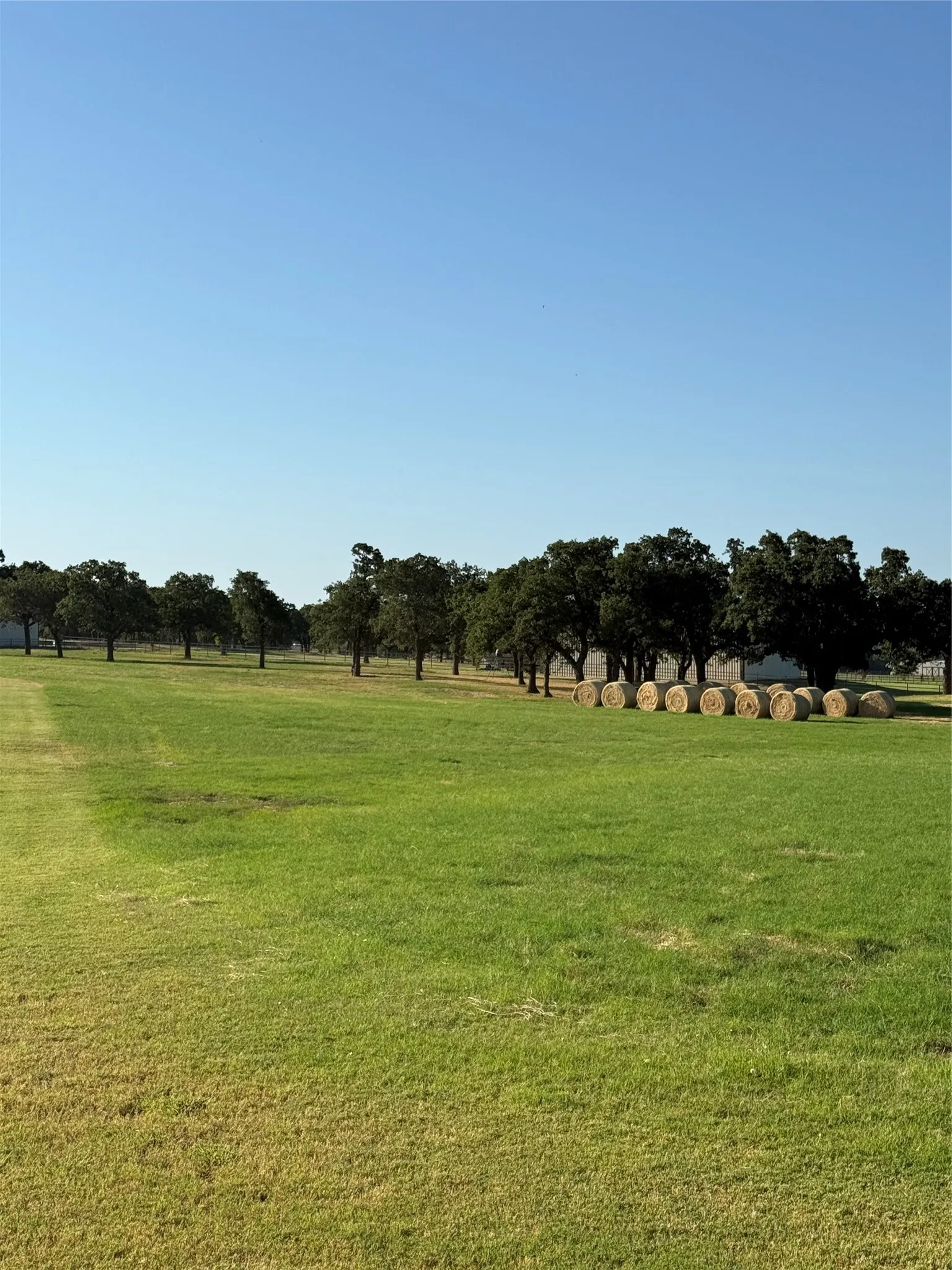 Unimproved Land For Sale in Parker County , 2025 Swallow Tail Court, Poolville, Texas 76487, 0, 0, Garage spaces, 0 Sqft, built in 0, Price $140,000, mls#21331887, Real Estate Agent in Poolville, Homes For Sale in Parker county, Homes For Sale in Poolville, Realtor in Poolville Texas, Real Estate Brokerage Independent Realty Texas, Luminita Cordes Realtor