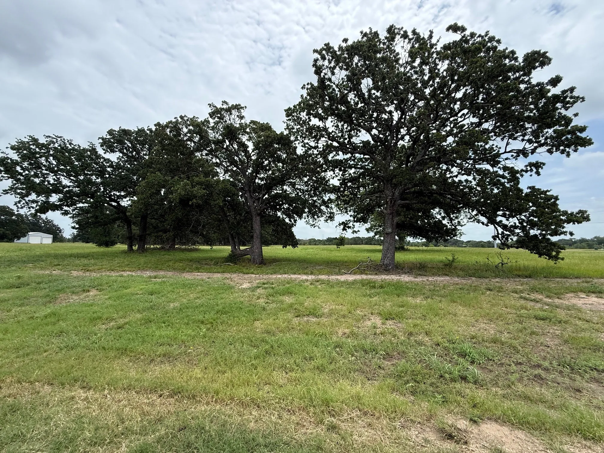Unimproved Land For Sale in Fannin County , 240 Shoreline Drive, Dodd City, Texas 75438, 0, 0, Garage spaces, 0 Sqft, built in 0, Price $218,900, mls#21331380, Real Estate Agent in Dodd City, Homes For Sale in Fannin county, Homes For Sale in Dodd City, Realtor in Dodd City Texas, Real Estate Brokerage Independent Realty Texas, Luminita Cordes Realtor