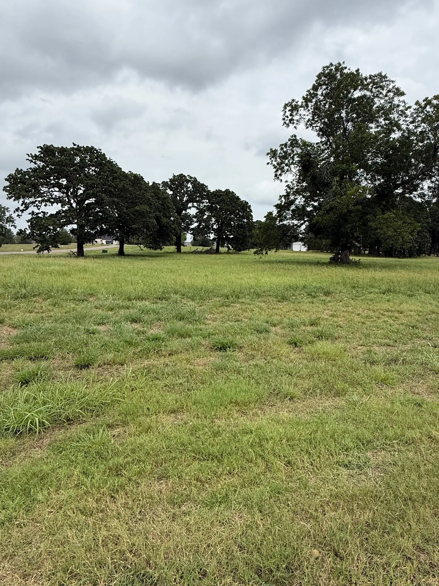 Unimproved Land For Sale in Fannin County , 240 Shoreline Drive, Dodd City, Texas 75438, 0, 0, Garage spaces, 0 Sqft, built in 0, Price $218,900, mls#21331380, Real Estate Agent in Dodd City, Homes For Sale in Fannin county, Homes For Sale in Dodd City, Realtor in Dodd City Texas, Real Estate Brokerage Independent Realty Texas, Luminita Cordes Realtor