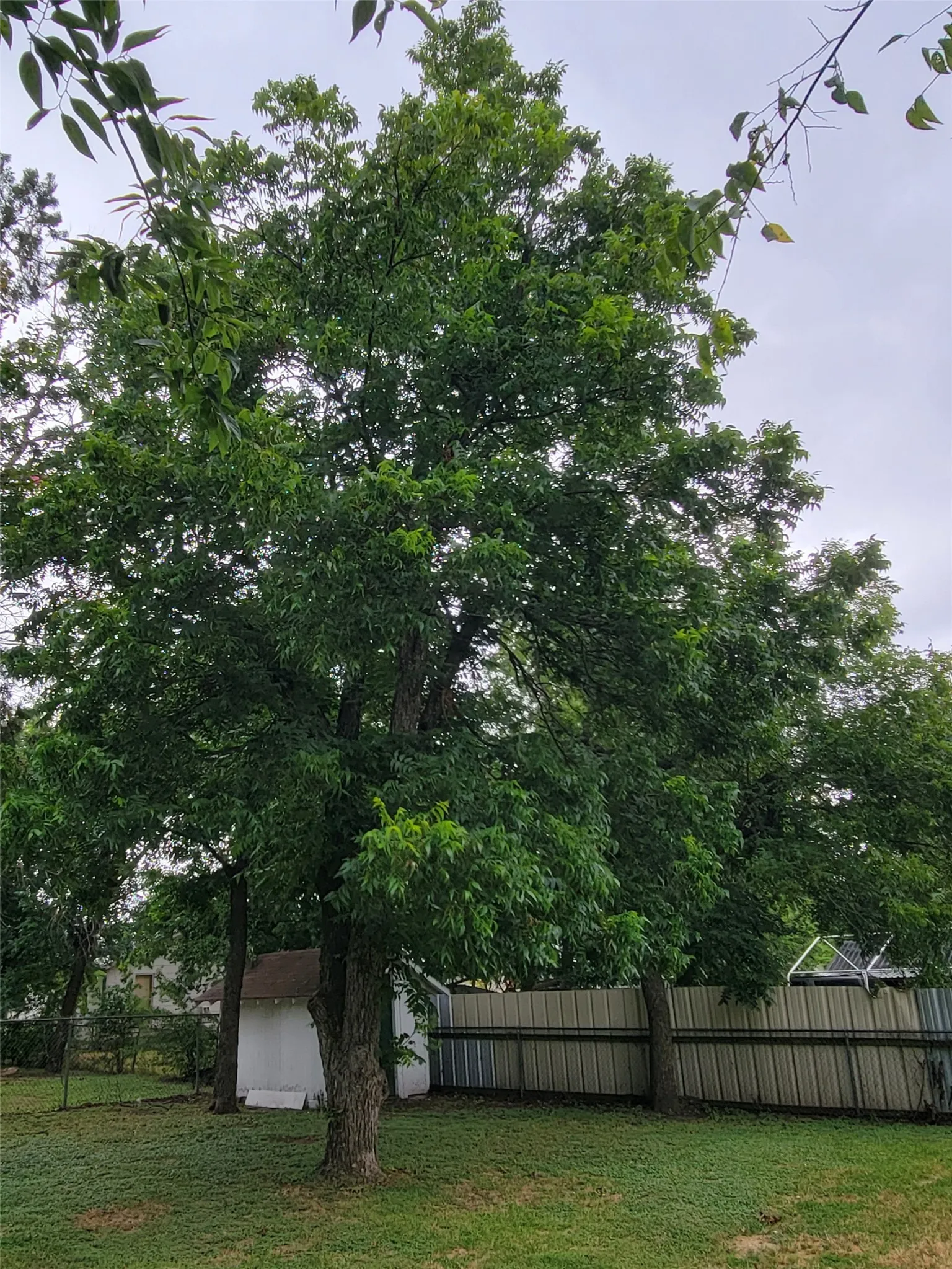 Single Family Residence For Sale in Mc Lennan County , 3513 Blue Bird Street, Waco, Texas 76705, 3 Bedroom, 1 Bathroom, 1 Garage spaces, 1,060 Sqft, built in 1948, mls#21331929, Real Estate Agent in Waco, Homes For Sale in Mc Lennan county, Homes For Sale in Waco, Realtor in Waco Texas, Real Estate Brokerage Independent Realty Texas, Luminita Cordes Realtor