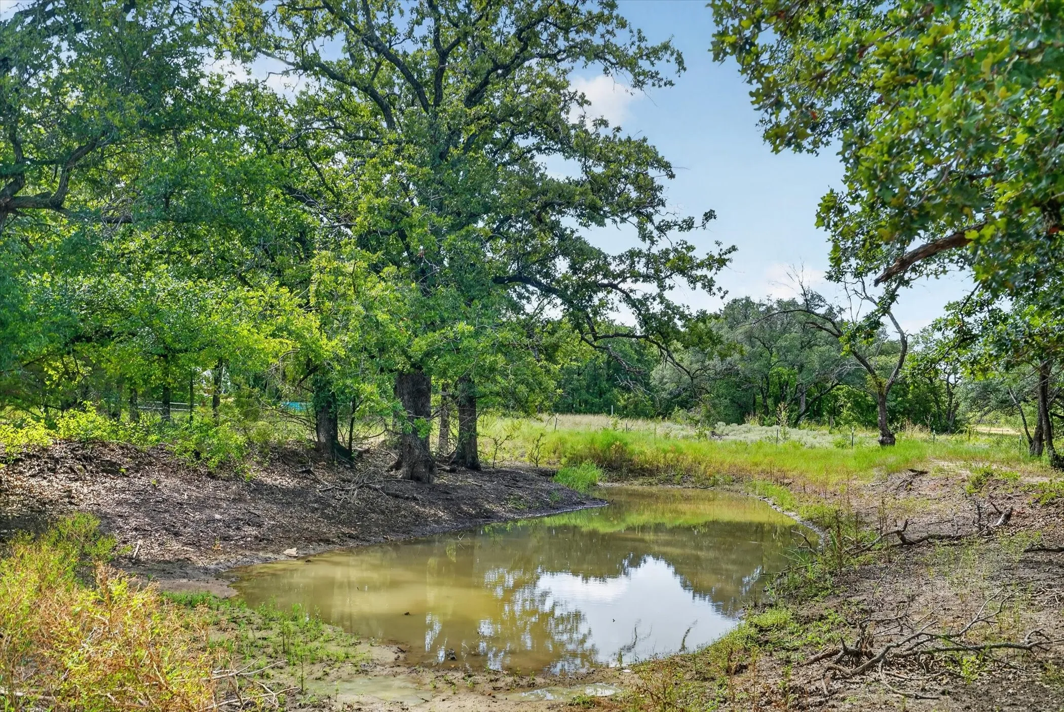 Improved Land For Sale in Erath County , 19800 E Fm 1188, Bluff Dale, Texas 76433, 0, 0, Garage spaces, 0 Sqft, built in 0, Price $799,000, mls#21327477, Real Estate Agent in Bluff Dale, Homes For Sale in Erath county, Homes For Sale in Bluff Dale, Realtor in Bluff Dale Texas, Real Estate Brokerage Independent Realty Texas, Luminita Cordes Realtor