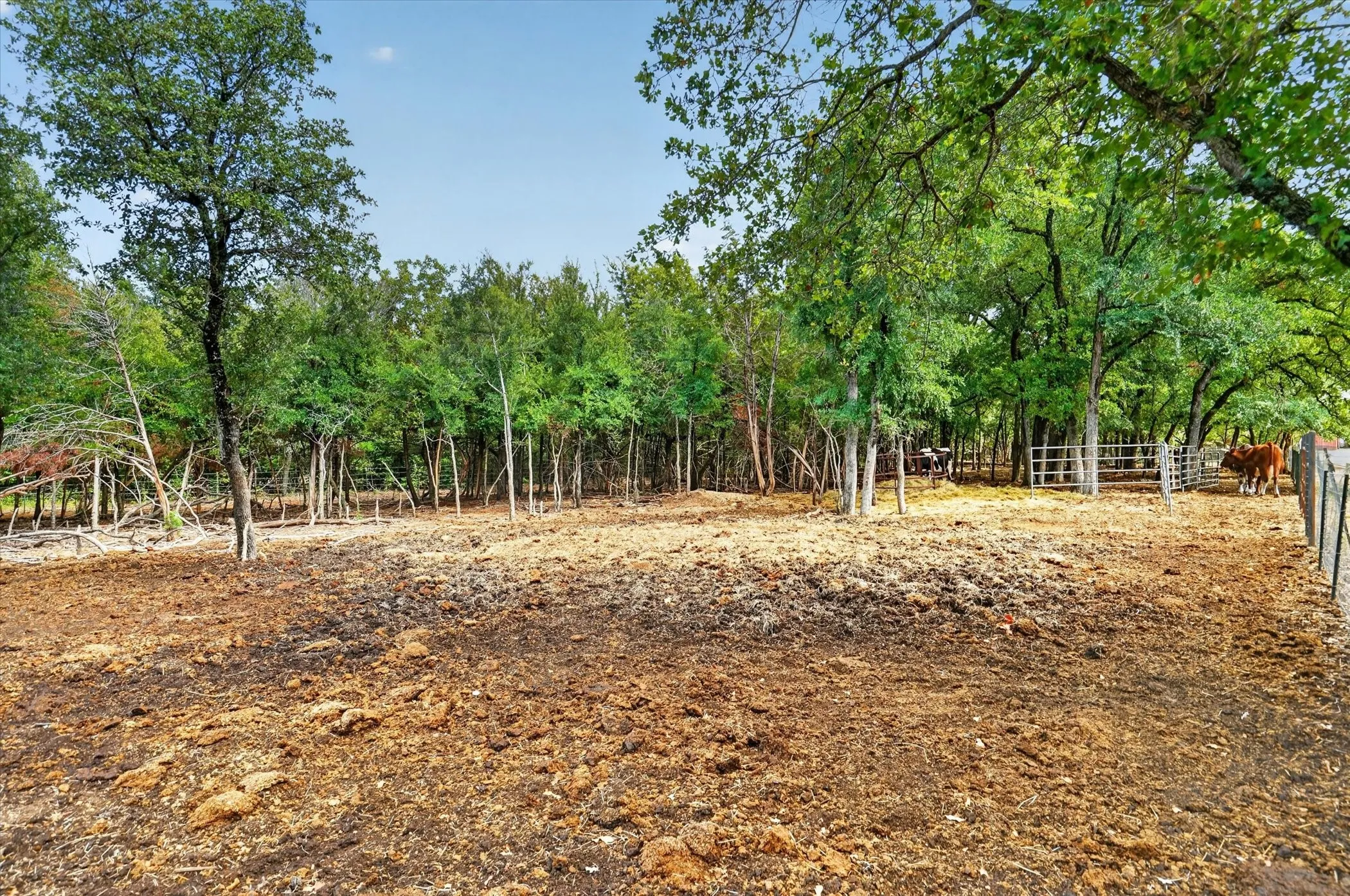 Improved Land For Sale in Erath County , 19800 E Fm 1188, Bluff Dale, Texas 76433, 0, 0, Garage spaces, 0 Sqft, built in 0, Price $799,000, mls#21327477, Real Estate Agent in Bluff Dale, Homes For Sale in Erath county, Homes For Sale in Bluff Dale, Realtor in Bluff Dale Texas, Real Estate Brokerage Independent Realty Texas, Luminita Cordes Realtor