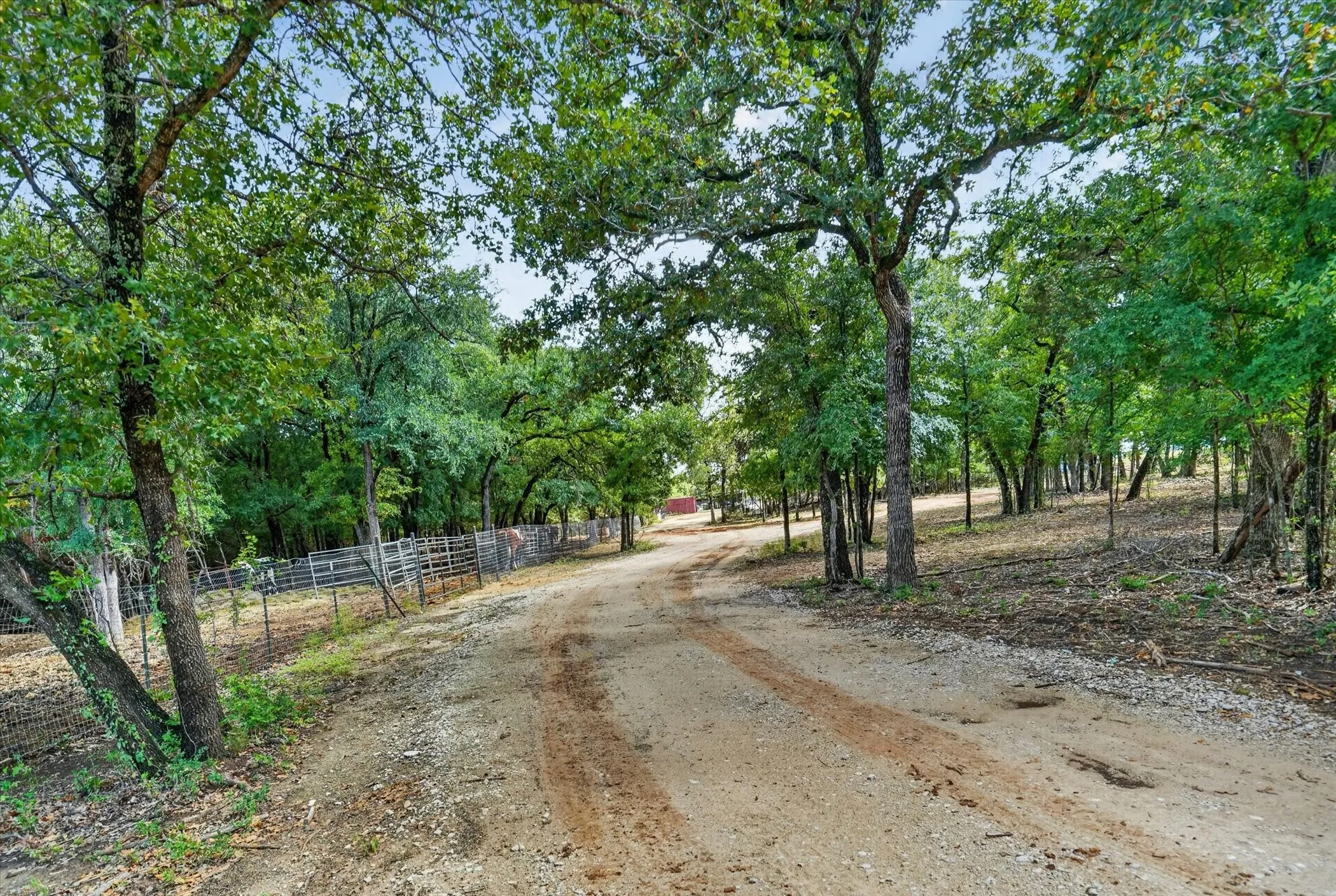 Improved Land For Sale in Erath County , 19800 E Fm 1188, Bluff Dale, Texas 76433, 0, 0, Garage spaces, 0 Sqft, built in 0, Price $799,000, mls#21327477, Real Estate Agent in Bluff Dale, Homes For Sale in Erath county, Homes For Sale in Bluff Dale, Realtor in Bluff Dale Texas, Real Estate Brokerage Independent Realty Texas, Luminita Cordes Realtor
