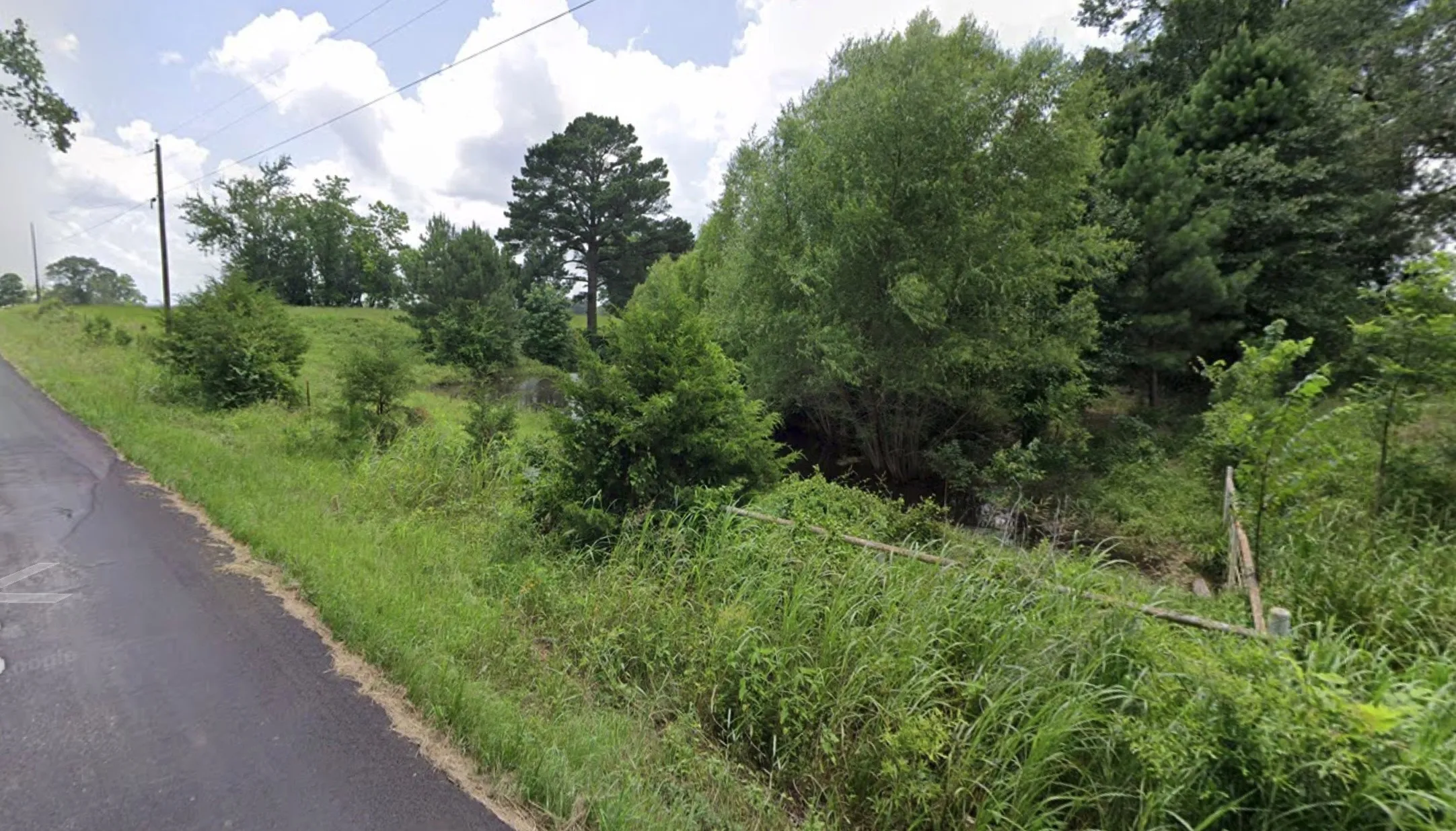 Unimproved Land For Sale in Rains County , TBD RS COUNTY ROAD 2450 ALBA, Alba, Texas 75410, 0, 0, Garage spaces, 0 Sqft, built in 0, Price $80,000, mls#21325514, Real Estate Agent in Alba, Homes For Sale in Rains county, Homes For Sale in Alba, Realtor in Alba Texas, Real Estate Brokerage Independent Realty Texas, Luminita Cordes Realtor