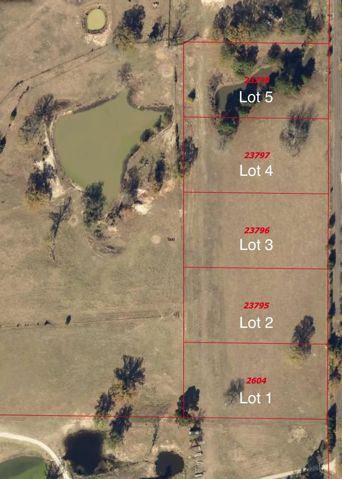 Unimproved Land For Sale in Rains County , TBD RS COUNTY ROAD 2450 ALBA, Alba, Texas 75410, 0, 0, Garage spaces, 0 Sqft, built in 0, Price $80,000, mls#21325514, Real Estate Agent in Alba, Homes For Sale in Rains county, Homes For Sale in Alba, Realtor in Alba Texas, Real Estate Brokerage Independent Realty Texas, Luminita Cordes Realtor