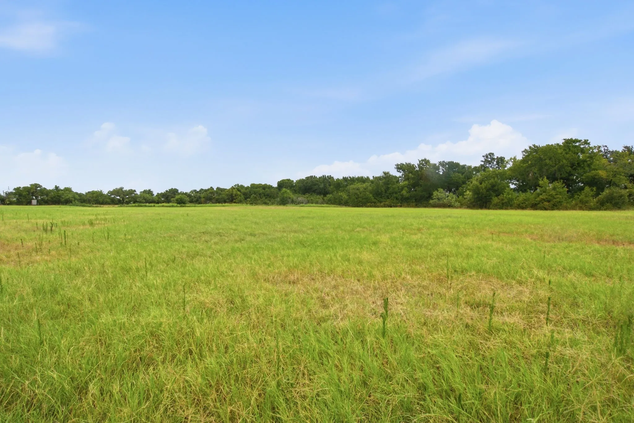 Farm For Sale in Erath County , 660 County Road 127, Stephenville, Texas 76401, 4 Bedroom, 2 Bathroom, Garage spaces, 2,560 Sqft, built in 2022, Price $849,000, mls#21332096, Real Estate Agent in Stephenville, Homes For Sale in Erath county, Homes For Sale in Stephenville, Realtor in Stephenville Texas, Real Estate Brokerage Independent Realty Texas, Luminita Cordes Realtor