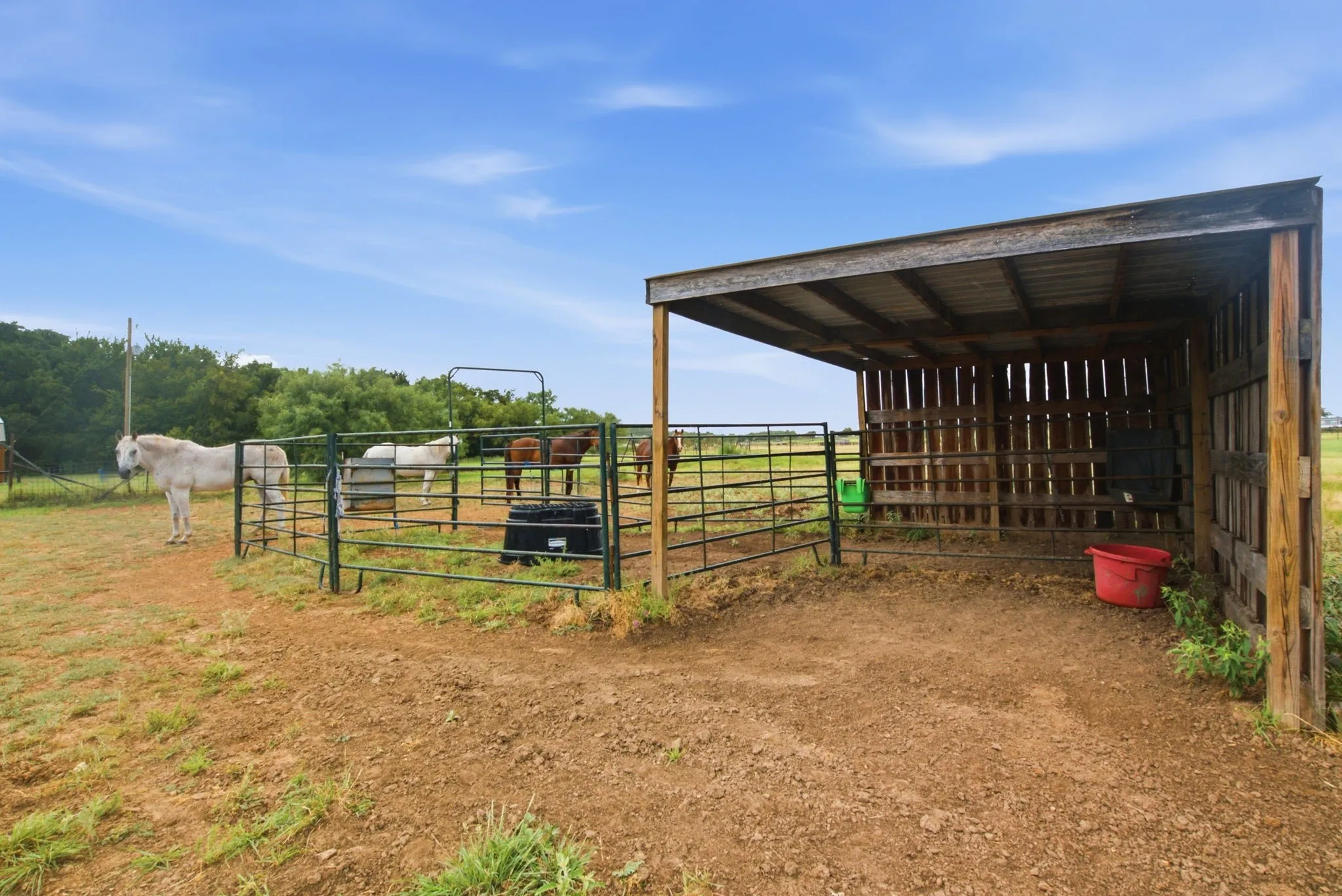 Farm For Sale in Erath County , 660 County Road 127, Stephenville, Texas 76401, 4 Bedroom, 2 Bathroom, Garage spaces, 2,560 Sqft, built in 2022, Price $849,000, mls#21332096, Real Estate Agent in Stephenville, Homes For Sale in Erath county, Homes For Sale in Stephenville, Realtor in Stephenville Texas, Real Estate Brokerage Independent Realty Texas, Luminita Cordes Realtor