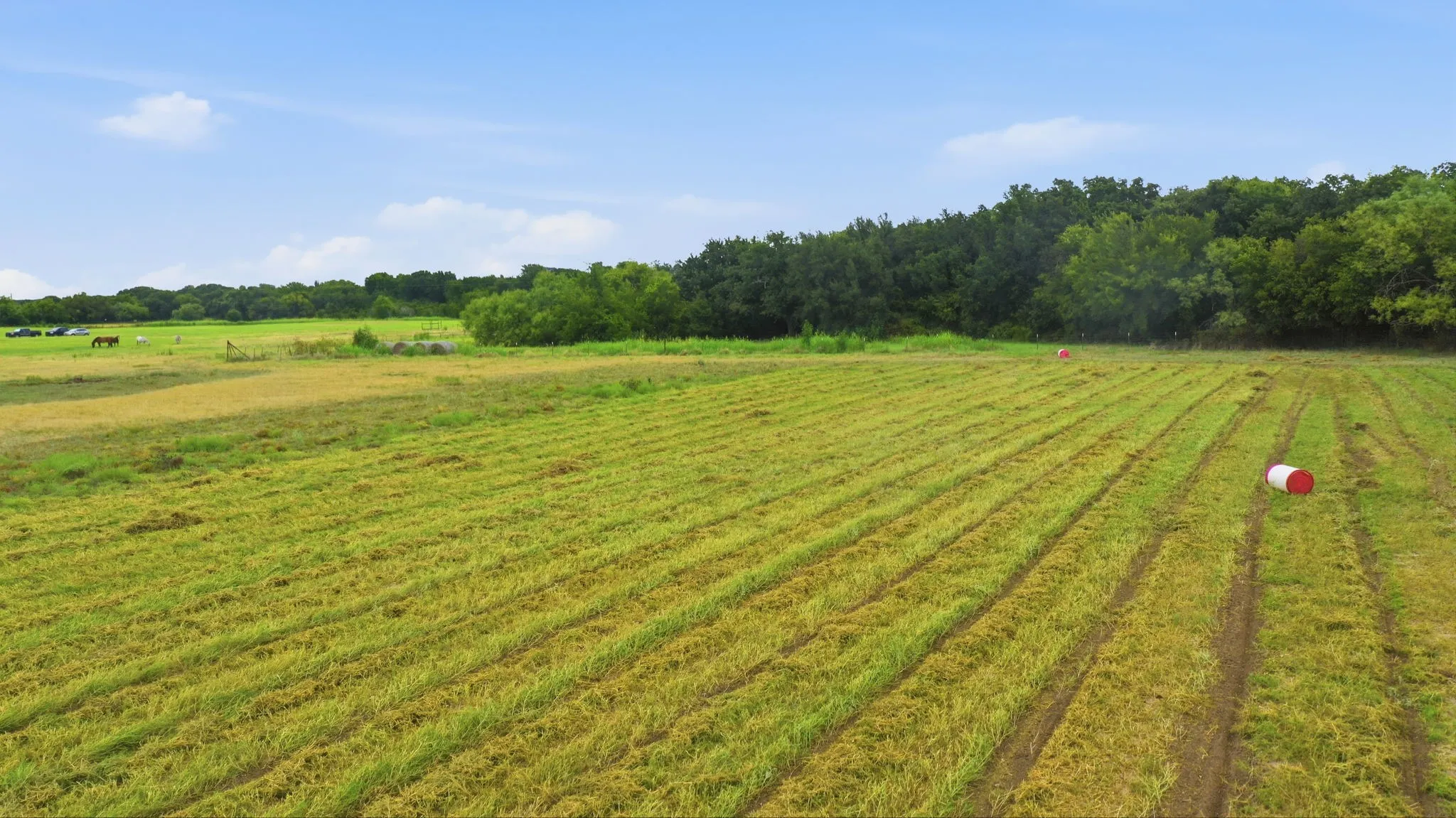 Farm For Sale in Erath County , 660 County Road 127, Stephenville, Texas 76401, 4 Bedroom, 2 Bathroom, Garage spaces, 2,560 Sqft, built in 2022, Price $849,000, mls#21332096, Real Estate Agent in Stephenville, Homes For Sale in Erath county, Homes For Sale in Stephenville, Realtor in Stephenville Texas, Real Estate Brokerage Independent Realty Texas, Luminita Cordes Realtor
