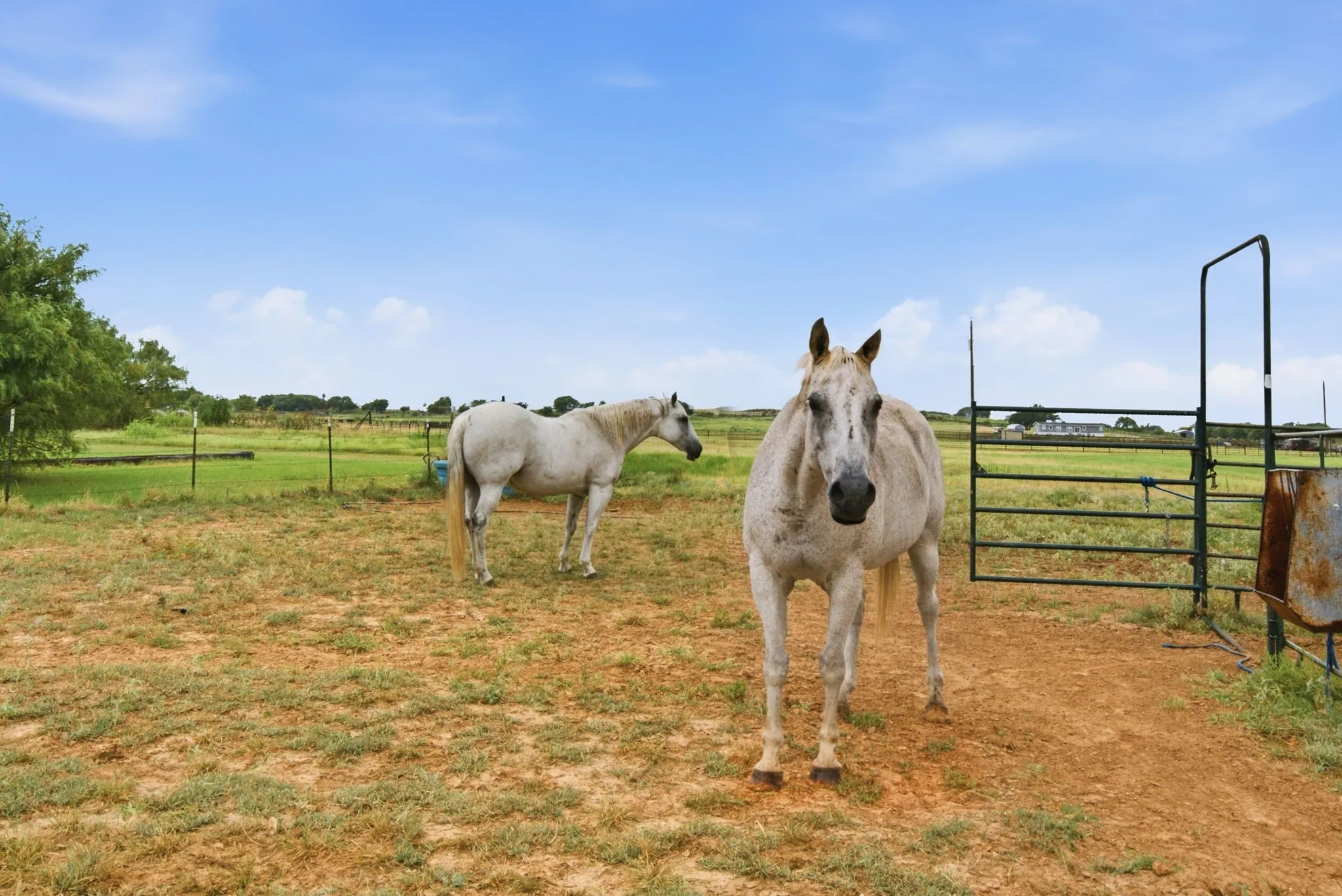 Farm For Sale in Erath County , 660 County Road 127, Stephenville, Texas 76401, 4 Bedroom, 2 Bathroom, Garage spaces, 2,560 Sqft, built in 2022, Price $849,000, mls#21332096, Real Estate Agent in Stephenville, Homes For Sale in Erath county, Homes For Sale in Stephenville, Realtor in Stephenville Texas, Real Estate Brokerage Independent Realty Texas, Luminita Cordes Realtor