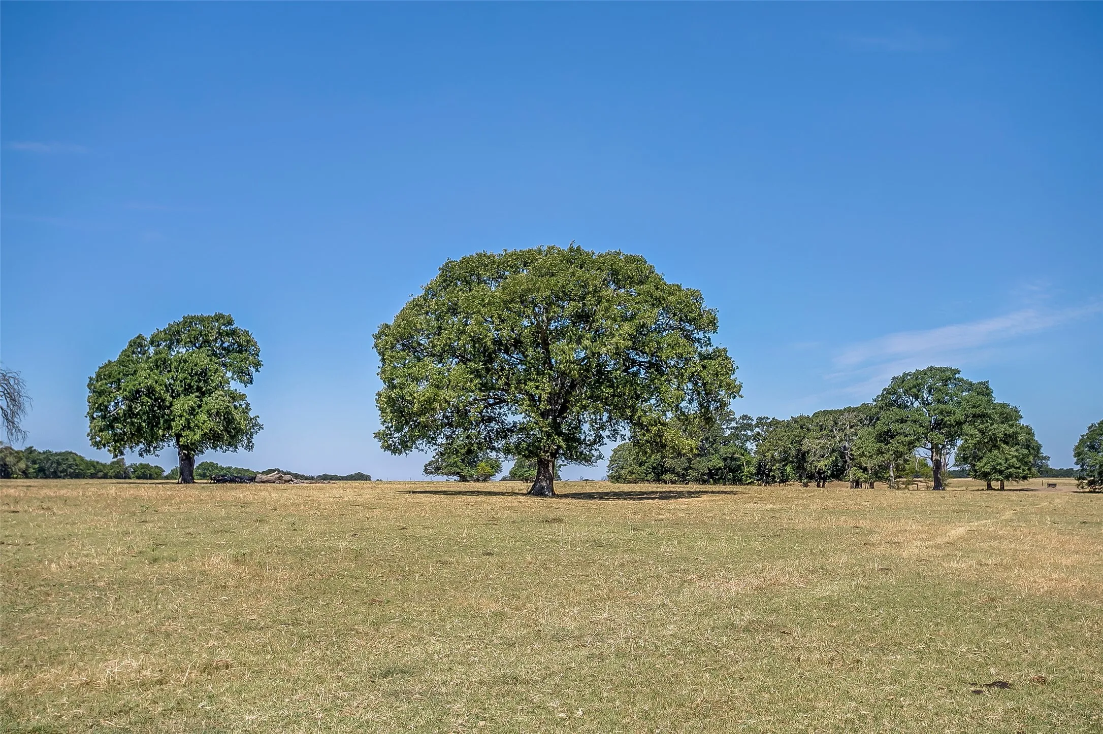 Ranch For Sale in Hunt County , 1080 Grand Oaks Ranch Road, Greenville, Texas 75401, 0, 0, Garage spaces, 0 Sqft, built in 0, Price $3,332,550, mls#21331797, Real Estate Agent in Greenville, Homes For Sale in Hunt county, Homes For Sale in Greenville, Realtor in Greenville Texas, Real Estate Brokerage Independent Realty Texas, Luminita Cordes Realtor
