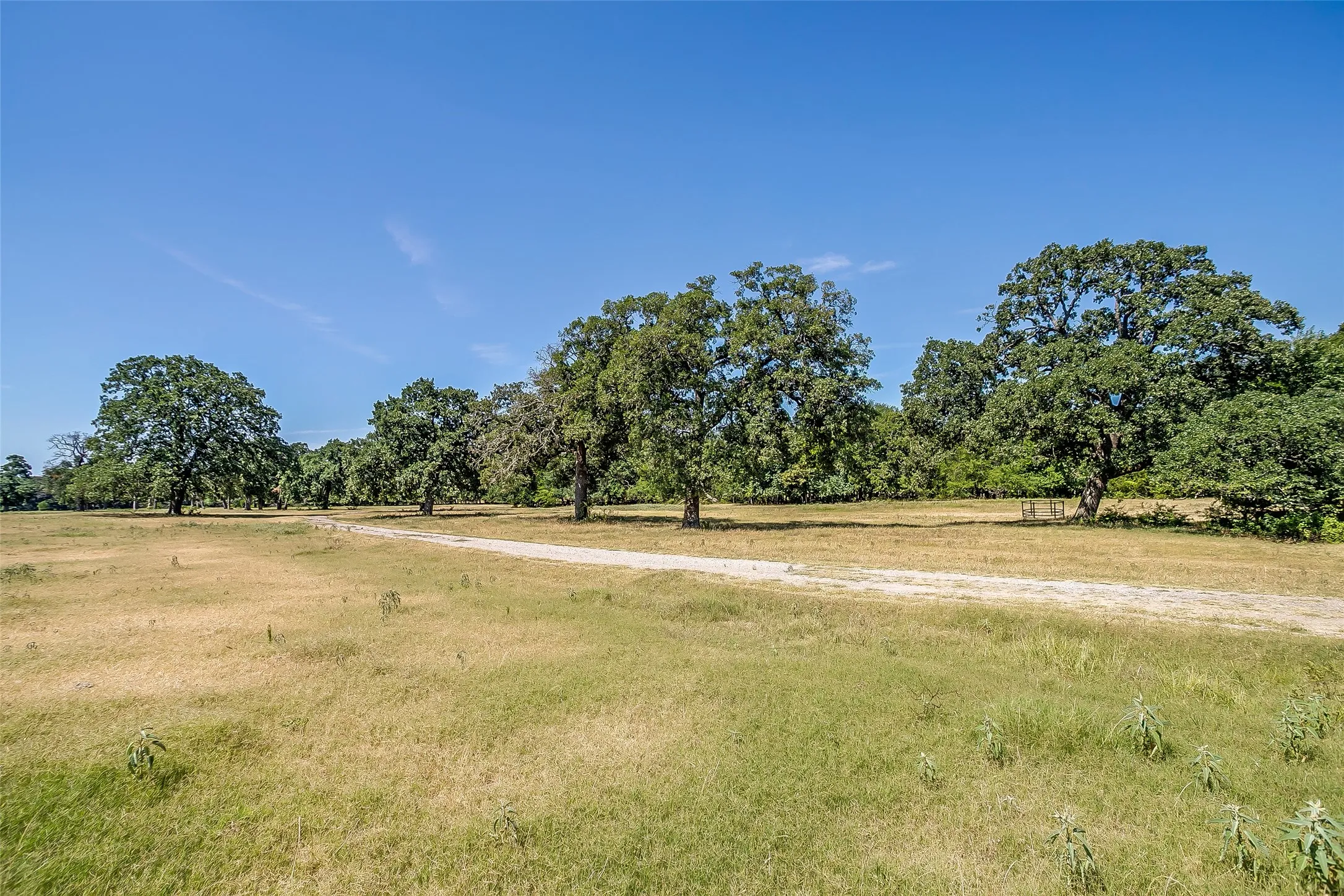 Ranch For Sale in Hunt County , 1080 Grand Oaks Ranch Road, Greenville, Texas 75401, 0, 0, Garage spaces, 0 Sqft, built in 0, Price $3,332,550, mls#21331797, Real Estate Agent in Greenville, Homes For Sale in Hunt county, Homes For Sale in Greenville, Realtor in Greenville Texas, Real Estate Brokerage Independent Realty Texas, Luminita Cordes Realtor