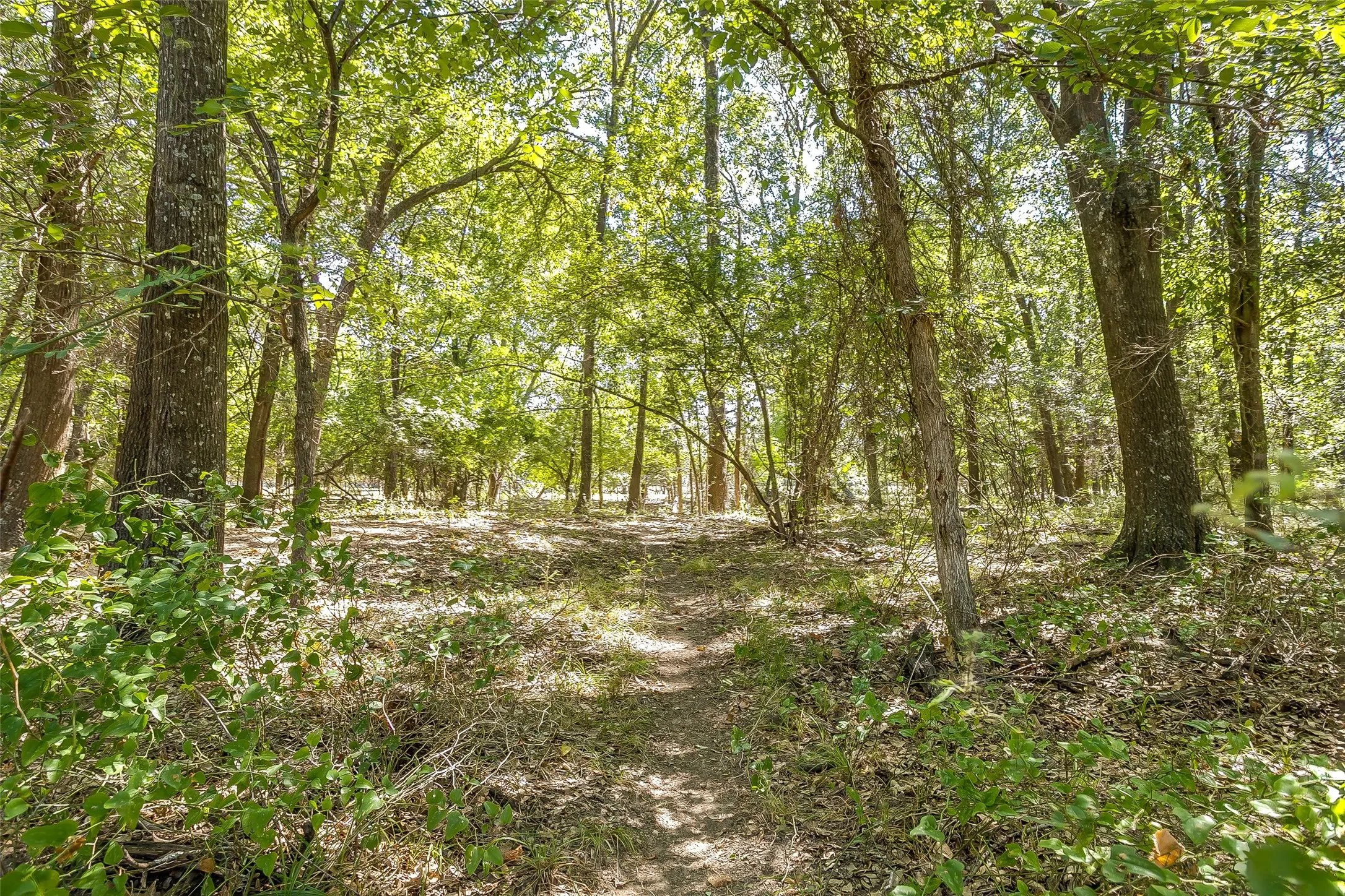 Ranch For Sale in Hunt County , 1080 Grand Oaks Ranch Road, Greenville, Texas 75401, 0, 0, Garage spaces, 0 Sqft, built in 0, Price $3,332,550, mls#21331797, Real Estate Agent in Greenville, Homes For Sale in Hunt county, Homes For Sale in Greenville, Realtor in Greenville Texas, Real Estate Brokerage Independent Realty Texas, Luminita Cordes Realtor