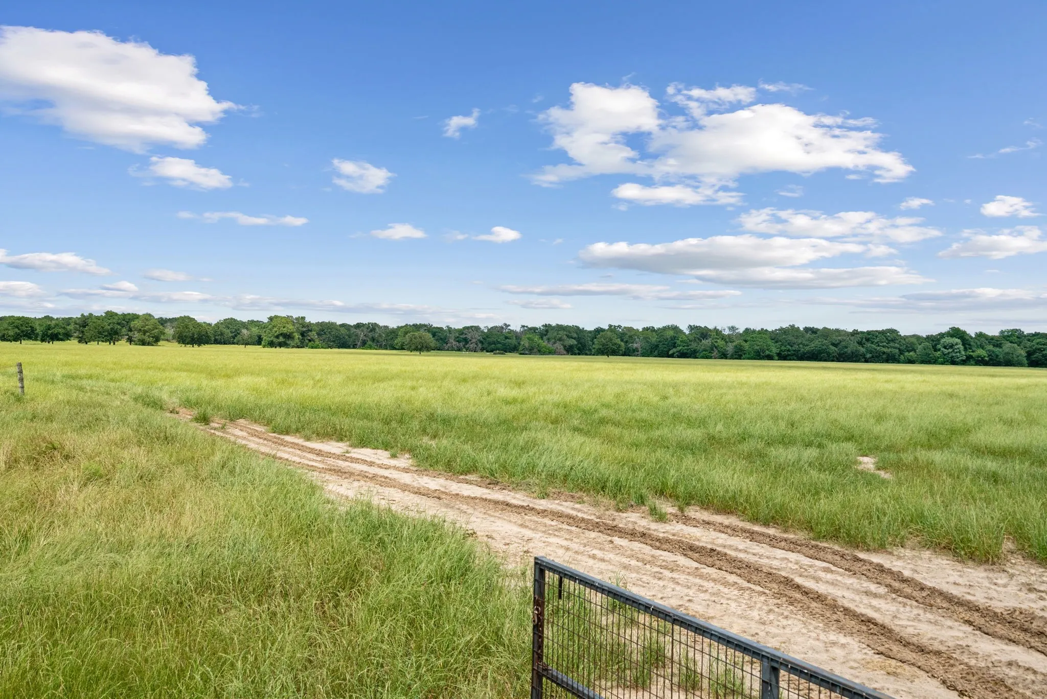 Ranch For Sale in Hunt County , 1080 Grand Oaks Ranch Road, Greenville, Texas 75401, 0, 0, Garage spaces, 0 Sqft, built in 0, Price $3,332,550, mls#21331797, Real Estate Agent in Greenville, Homes For Sale in Hunt county, Homes For Sale in Greenville, Realtor in Greenville Texas, Real Estate Brokerage Independent Realty Texas, Luminita Cordes Realtor