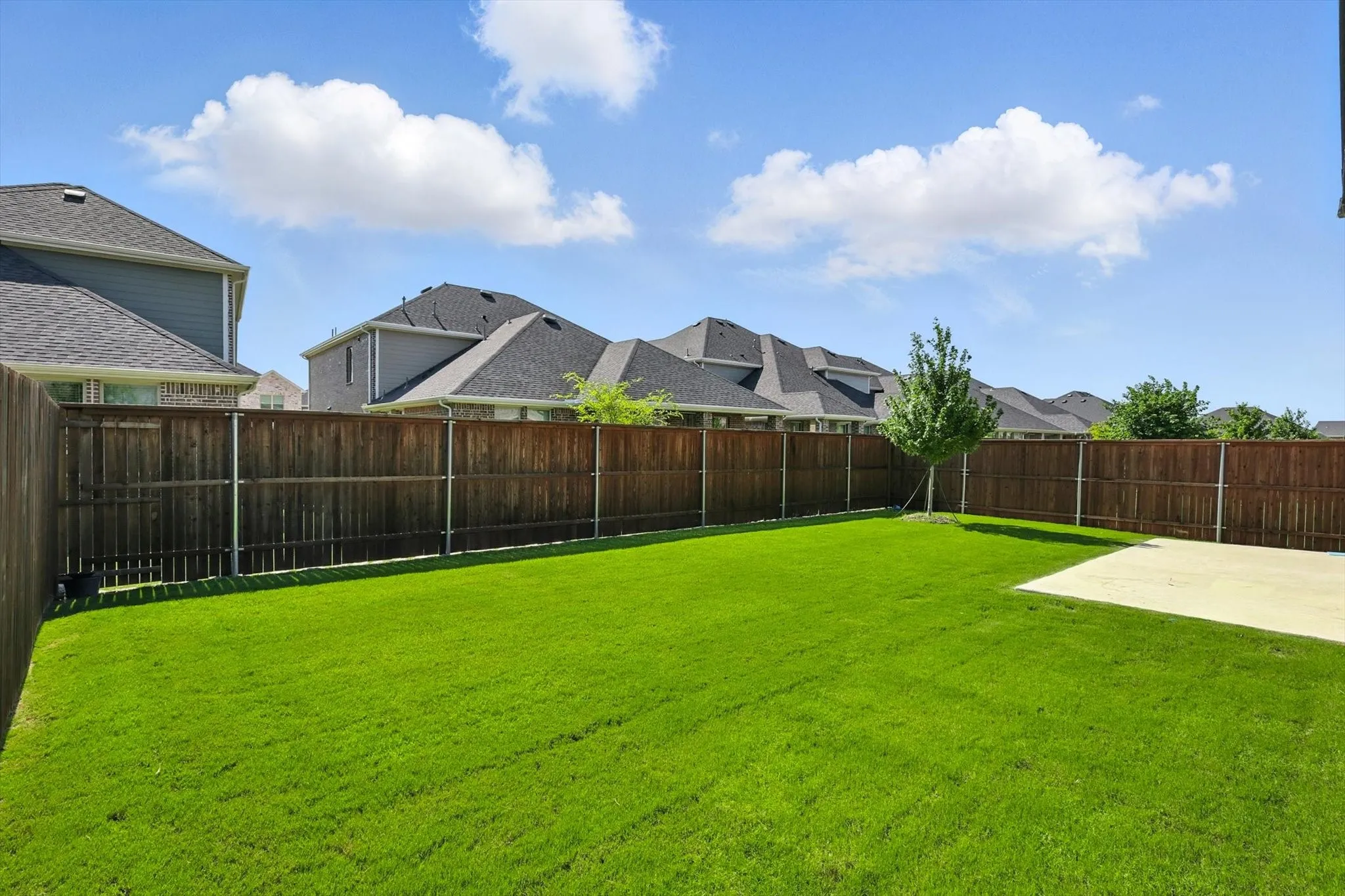 Large Fenced Backyard
