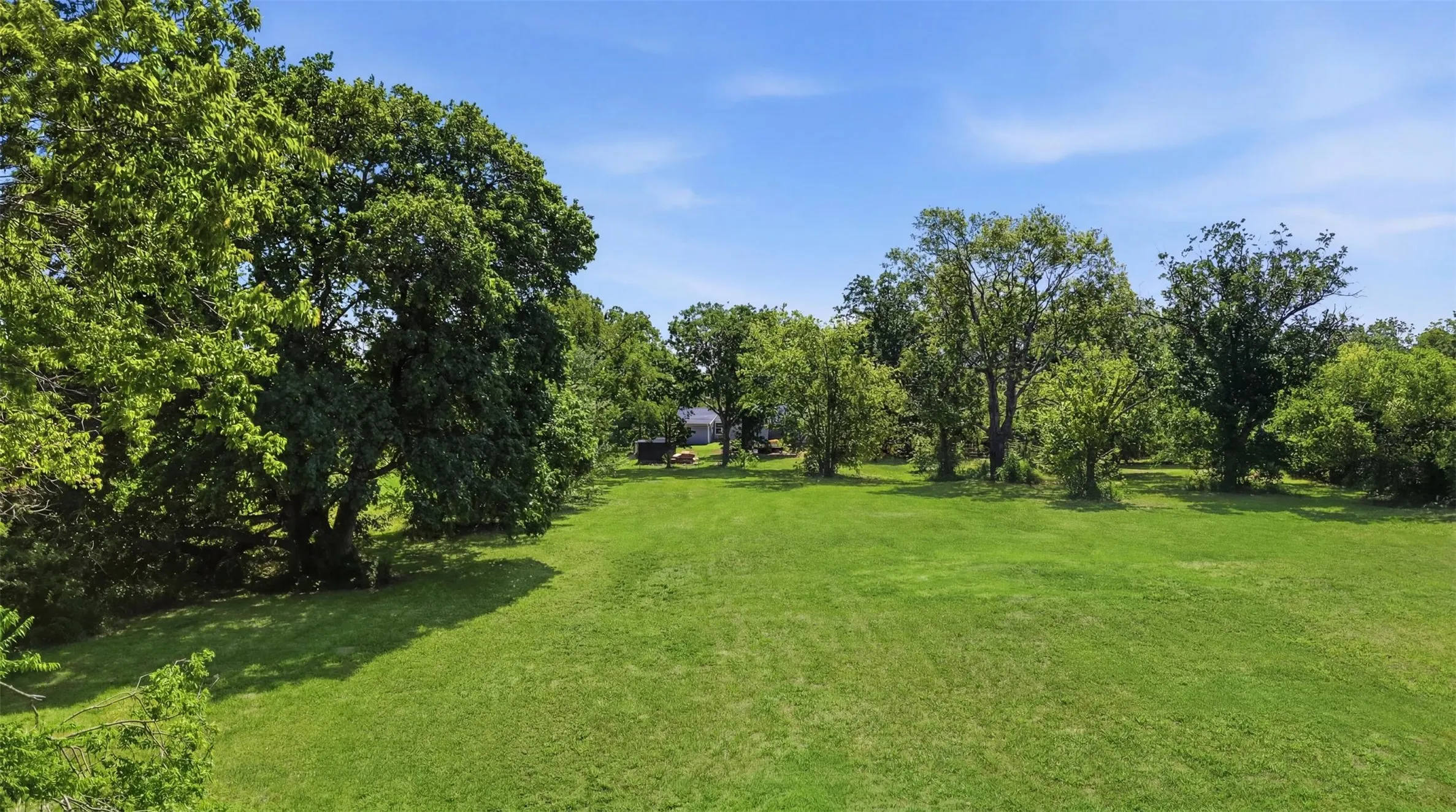Expansive green lawn surrounded by mature trees, offering a secluded environment