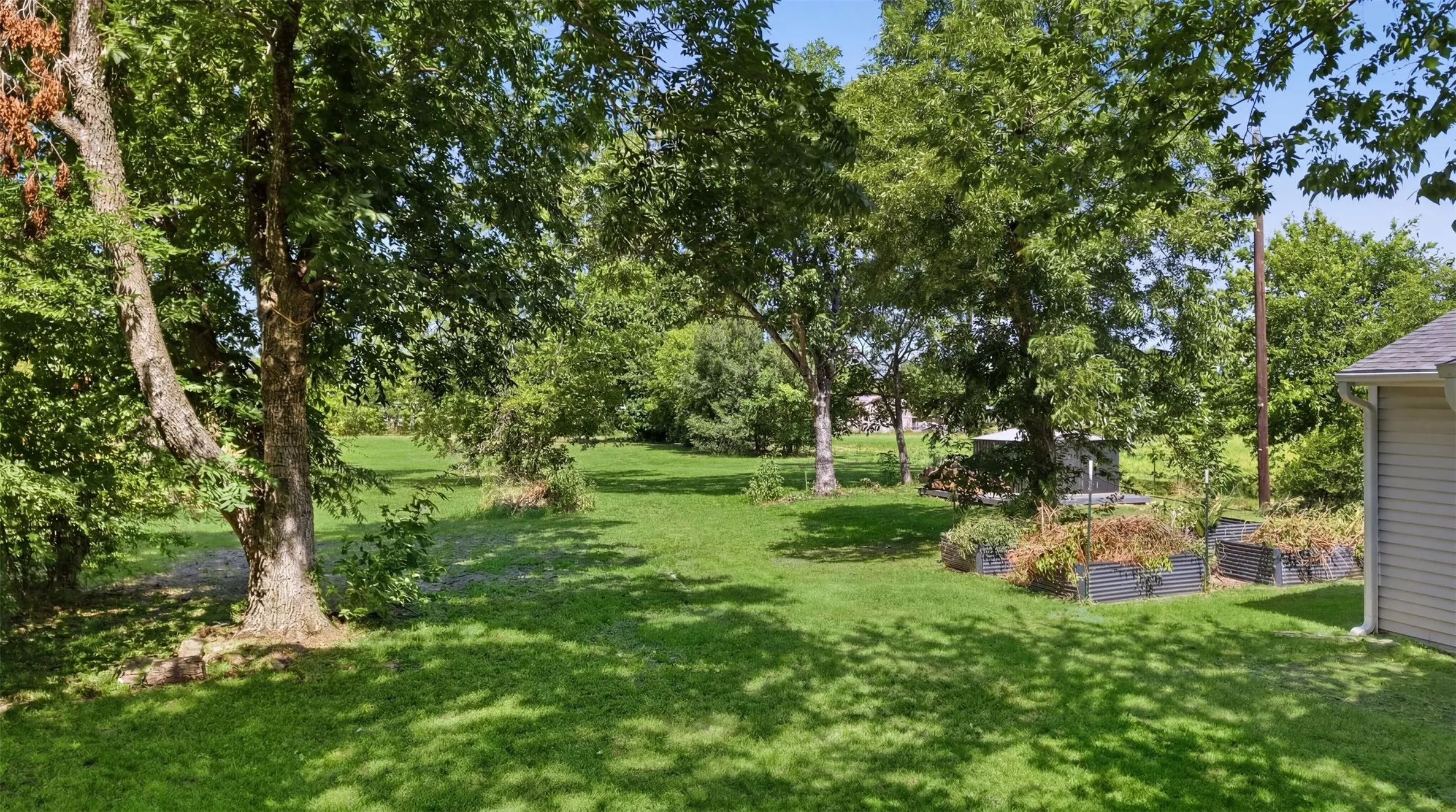 Expansive green lawn framed by mature trees, featuring multiple raised garden beds