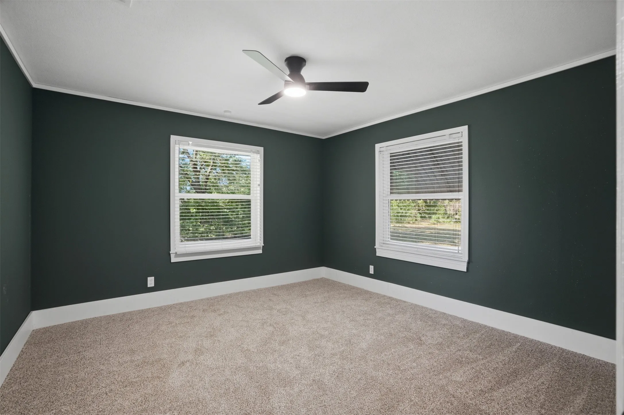 Room featuring dark green walls and light-colored carpeting
