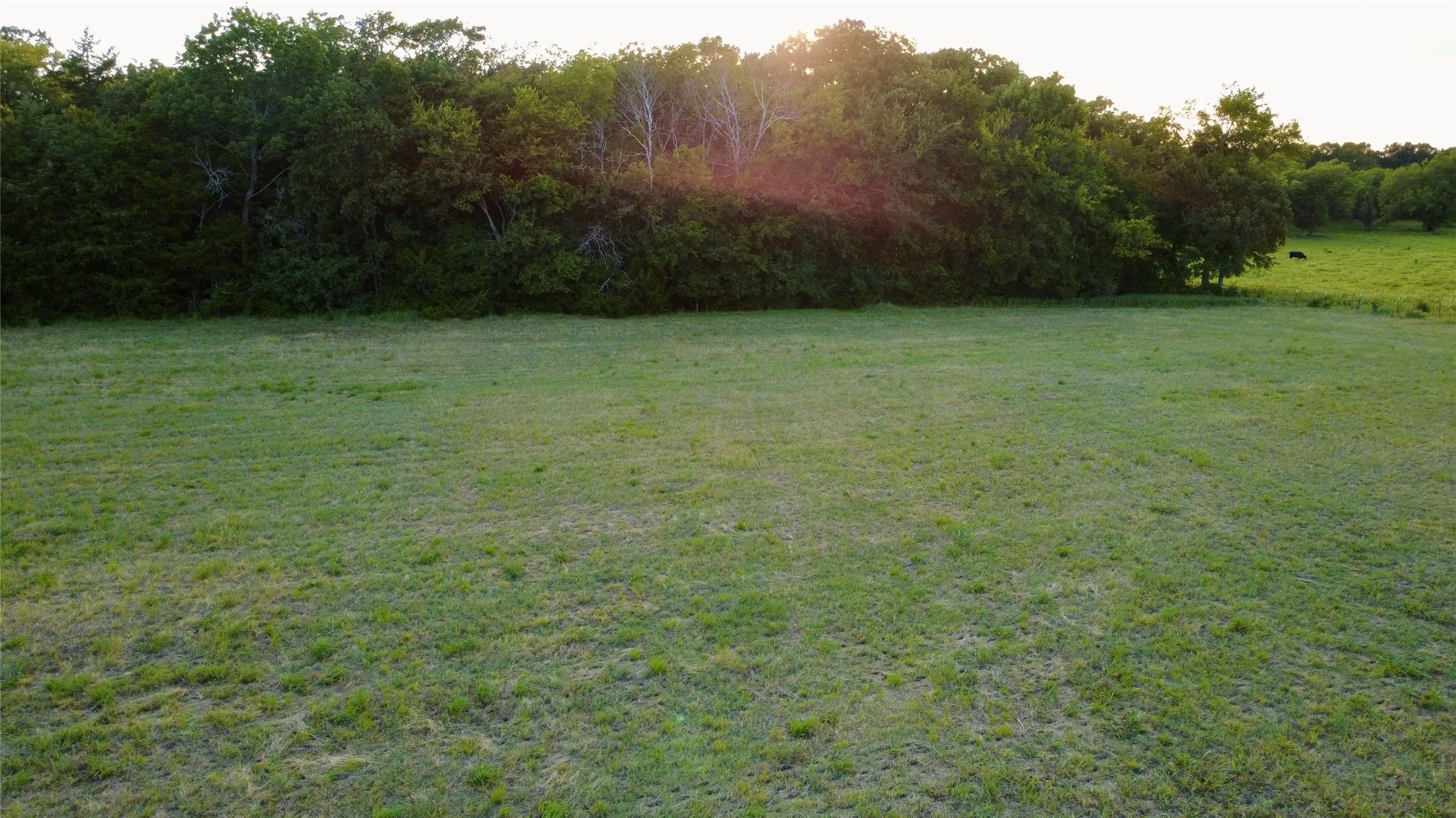 Unimproved Land For Sale in Hopkins County , 336 County Road 1118, Brashear, Texas 75420, 0, 0, Garage spaces, 0 Sqft, built in 0, mls#21332196, Real Estate Agent in Brashear, Homes For Sale in Hopkins county, Homes For Sale in Brashear, Realtor in Brashear Texas, Real Estate Brokerage Independent Realty Texas, Luminita Cordes Realtor