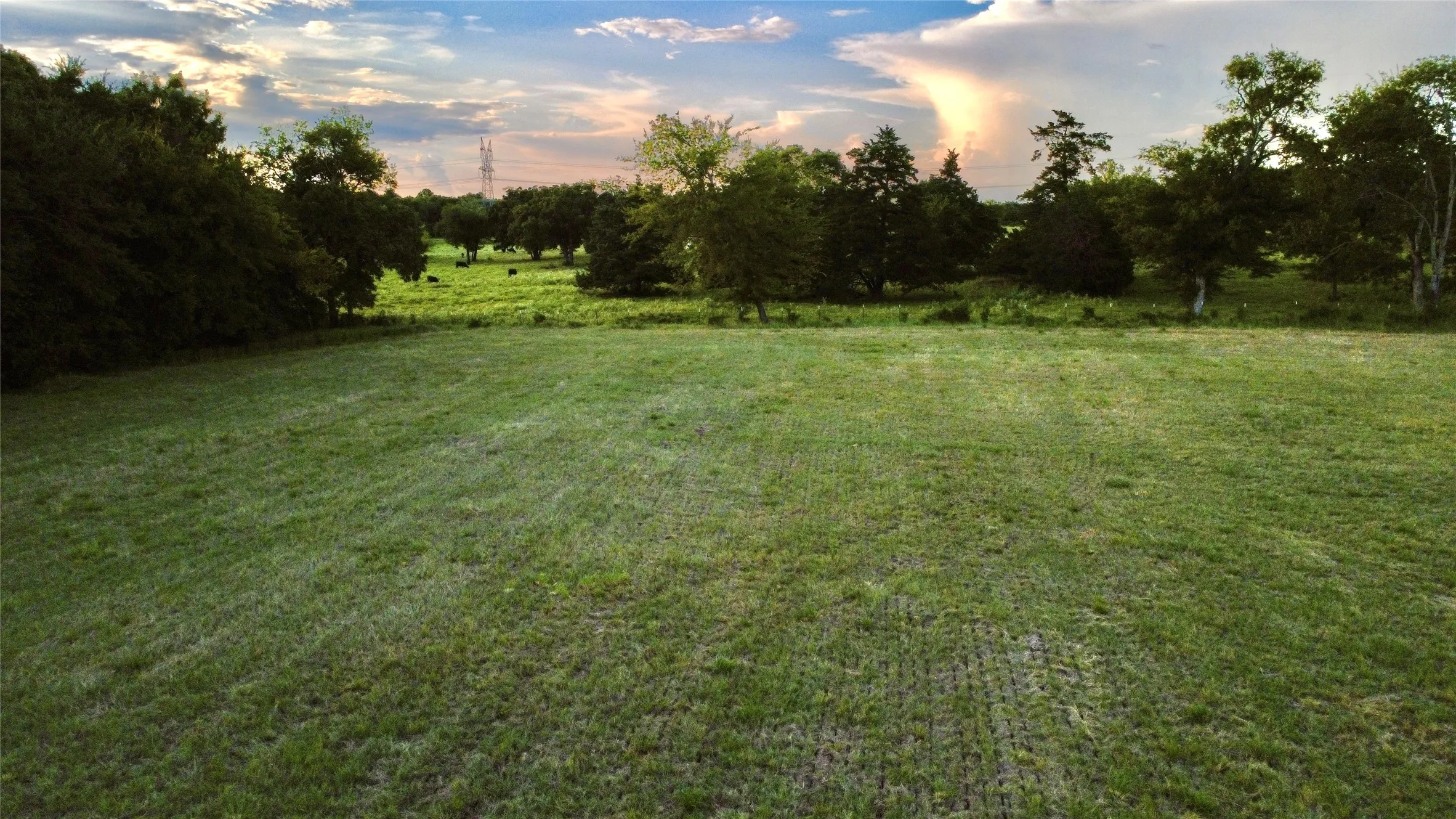 Unimproved Land For Sale in Hopkins County , 336 County Road 1118, Brashear, Texas 75420, 0, 0, Garage spaces, 0 Sqft, built in 0, mls#21332196, Real Estate Agent in Brashear, Homes For Sale in Hopkins county, Homes For Sale in Brashear, Realtor in Brashear Texas, Real Estate Brokerage Independent Realty Texas, Luminita Cordes Realtor