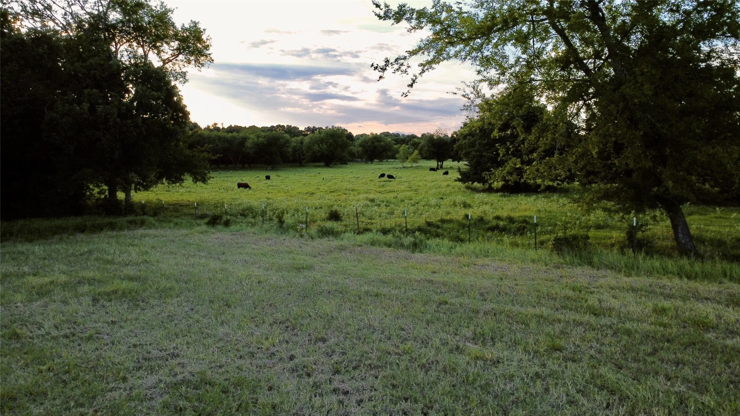 Unimproved Land For Sale in Hopkins County , 336 County Road 1118, Brashear, Texas 75420, 0, 0, Garage spaces, 0 Sqft, built in 0, mls#21332196, Real Estate Agent in Brashear, Homes For Sale in Hopkins county, Homes For Sale in Brashear, Realtor in Brashear Texas, Real Estate Brokerage Independent Realty Texas, Luminita Cordes Realtor