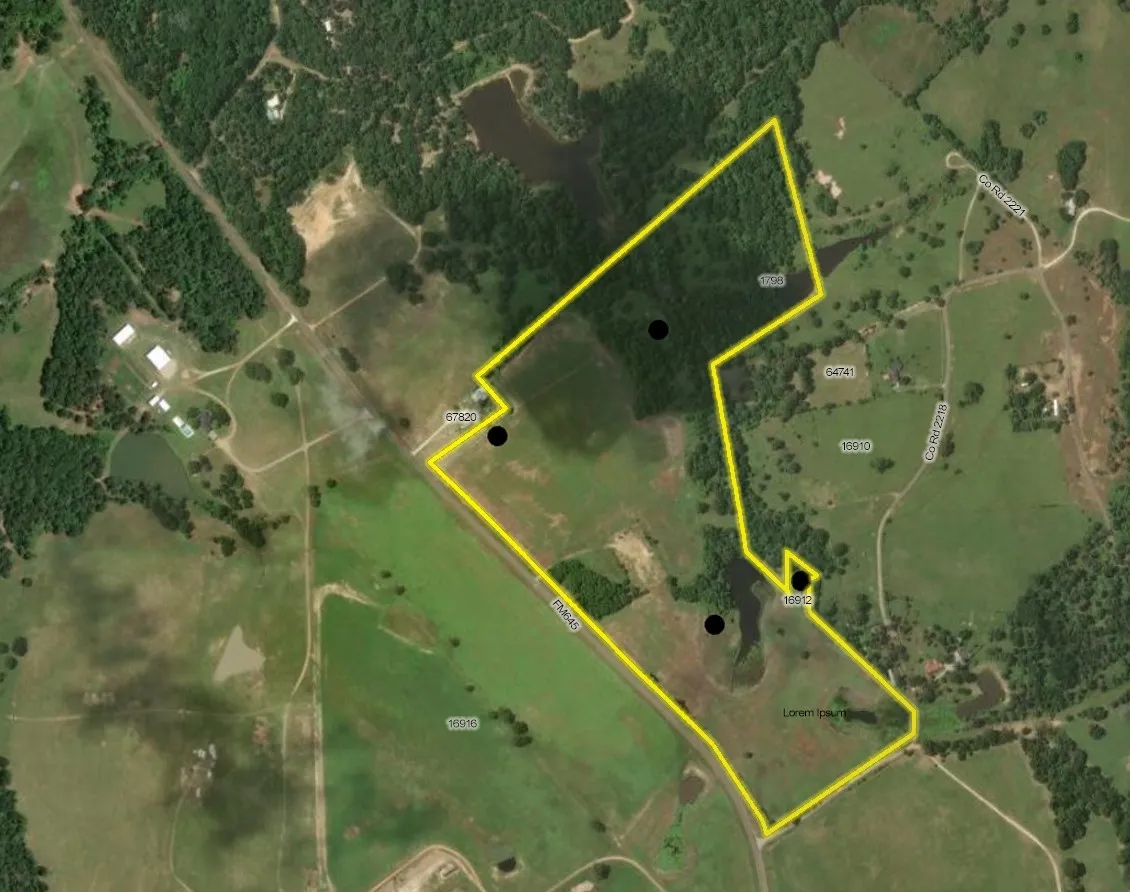 Unimproved Land For Sale in Anderson County , 0 Fm 645, Tennessee Colony, Texas 75861, 0, 0, Garage spaces, 0 Sqft, built in 0, Price $748,000, mls#21332030, Real Estate Agent in Tennessee Colony, Homes For Sale in Anderson county, Homes For Sale in Tennessee Colony, Realtor in Tennessee Colony Texas, Real Estate Brokerage Independent Realty Texas, Luminita Cordes Realtor