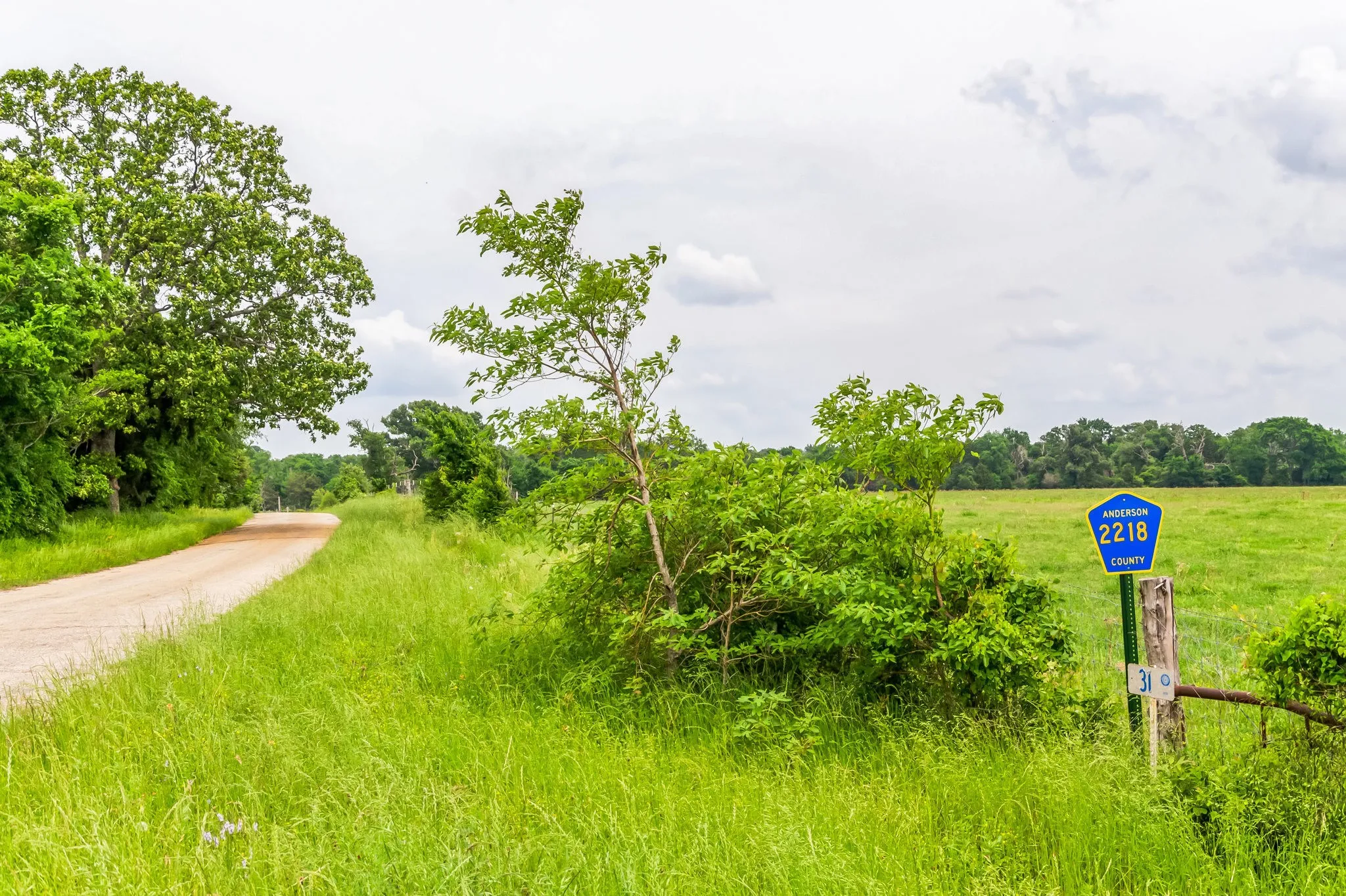 Unimproved Land For Sale in Anderson County , 0 Fm 645, Tennessee Colony, Texas 75861, 0, 0, Garage spaces, 0 Sqft, built in 0, Price $748,000, mls#21332030, Real Estate Agent in Tennessee Colony, Homes For Sale in Anderson county, Homes For Sale in Tennessee Colony, Realtor in Tennessee Colony Texas, Real Estate Brokerage Independent Realty Texas, Luminita Cordes Realtor