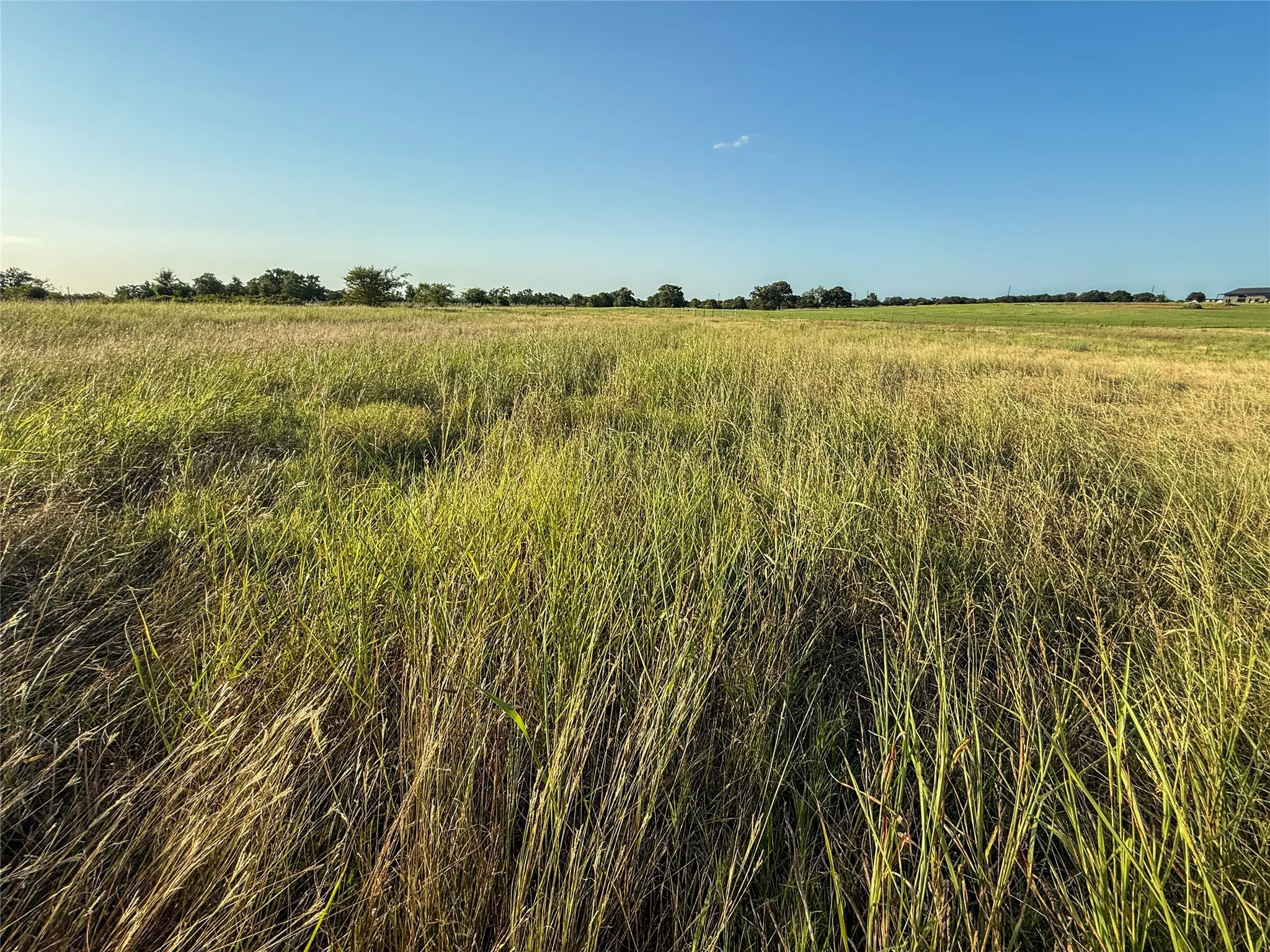 Unimproved Land For Sale in Wise County , 300 County Road 1475, Alvord, Texas 76225, 0, 0, Garage spaces, 0 Sqft, built in 0, Price $195,520, mls#21332154, Real Estate Agent in Alvord, Homes For Sale in Wise county, Homes For Sale in Alvord, Realtor in Alvord Texas, Real Estate Brokerage Independent Realty Texas, Luminita Cordes Realtor