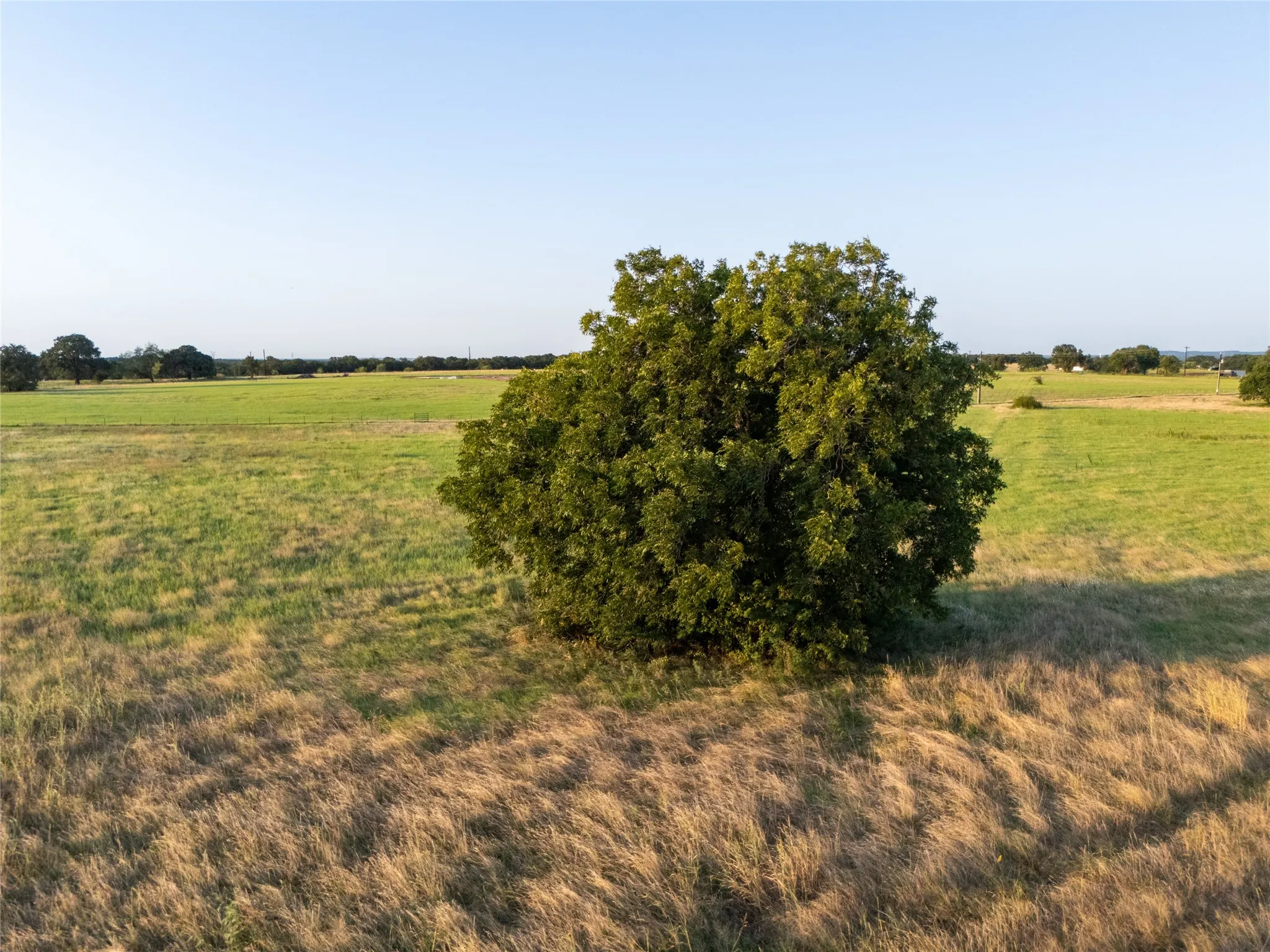 Unimproved Land For Sale in Wise County , 300 County Road 1475, Alvord, Texas 76225, 0, 0, Garage spaces, 0 Sqft, built in 0, Price $195,520, mls#21332154, Real Estate Agent in Alvord, Homes For Sale in Wise county, Homes For Sale in Alvord, Realtor in Alvord Texas, Real Estate Brokerage Independent Realty Texas, Luminita Cordes Realtor