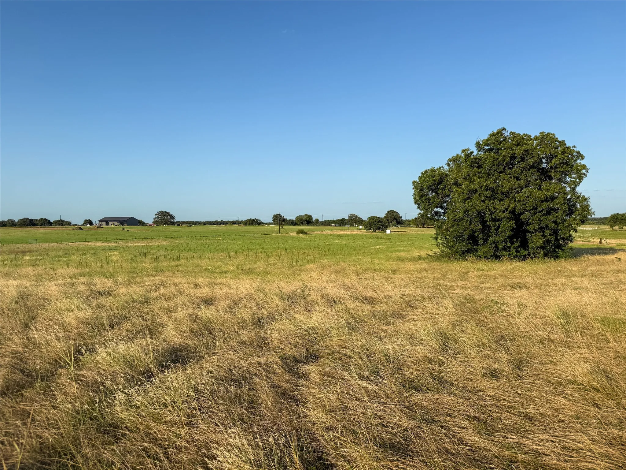 Unimproved Land For Sale in Wise County , 300 County Road 1475, Alvord, Texas 76225, 0, 0, Garage spaces, 0 Sqft, built in 0, Price $195,520, mls#21332154, Real Estate Agent in Alvord, Homes For Sale in Wise county, Homes For Sale in Alvord, Realtor in Alvord Texas, Real Estate Brokerage Independent Realty Texas, Luminita Cordes Realtor