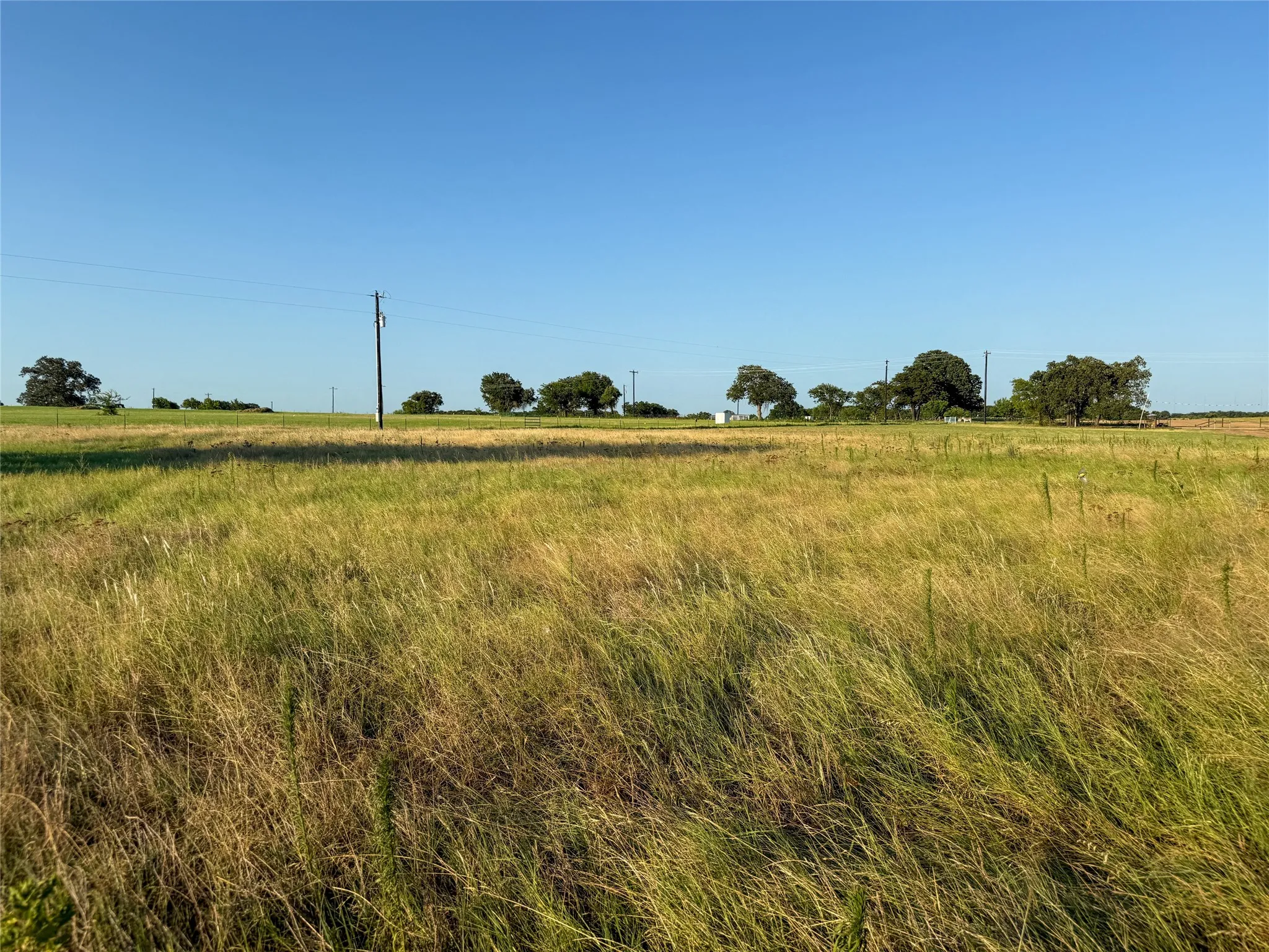 Unimproved Land For Sale in Wise County , 300 County Road 1475, Alvord, Texas 76225, 0, 0, Garage spaces, 0 Sqft, built in 0, Price $195,520, mls#21332154, Real Estate Agent in Alvord, Homes For Sale in Wise county, Homes For Sale in Alvord, Realtor in Alvord Texas, Real Estate Brokerage Independent Realty Texas, Luminita Cordes Realtor