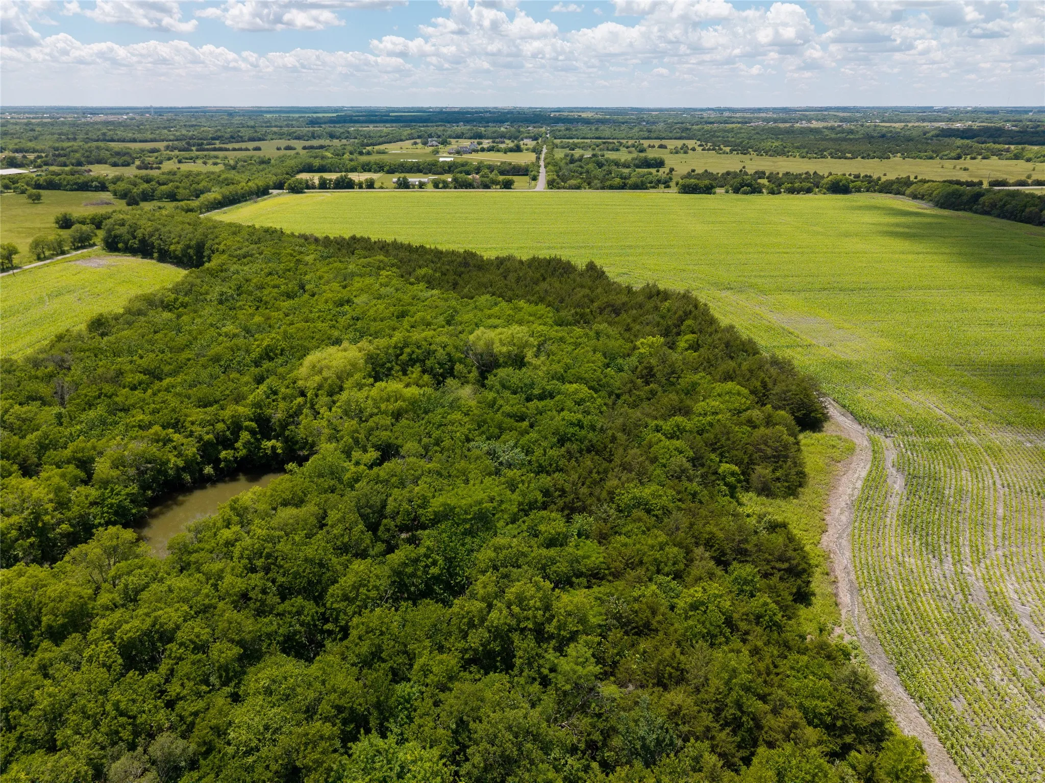 Ranch For Sale in Hunt County , 100+/-Ac FM 36, Caddo Mills, Texas 75135, 0, 0, Garage spaces, 0 Sqft, built in 0, Price $3,499,500, mls#21332414, Real Estate Agent in Caddo Mills, Homes For Sale in Hunt county, Homes For Sale in Caddo Mills, Realtor in Caddo Mills Texas, Real Estate Brokerage Independent Realty Texas, Luminita Cordes Realtor