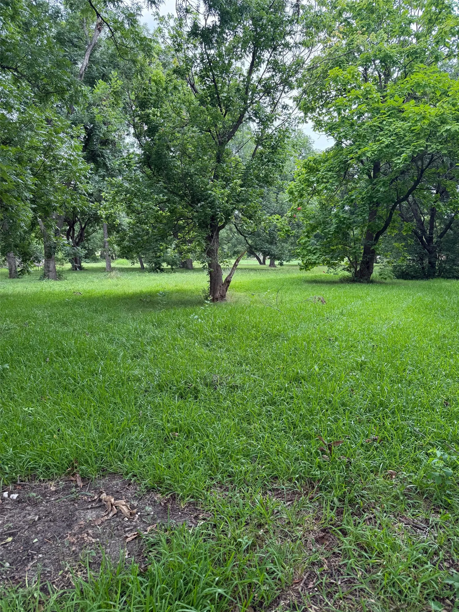 Unimproved Land For Sale in Fannin County , 510 Braz Street, Bonham, Texas 75418, 0, 0, Garage spaces, 0 Sqft, built in 0, mls#21332457, Real Estate Agent in Bonham, Homes For Sale in Fannin county, Homes For Sale in Bonham, Realtor in Bonham Texas, Real Estate Brokerage Independent Realty Texas, Luminita Cordes Realtor