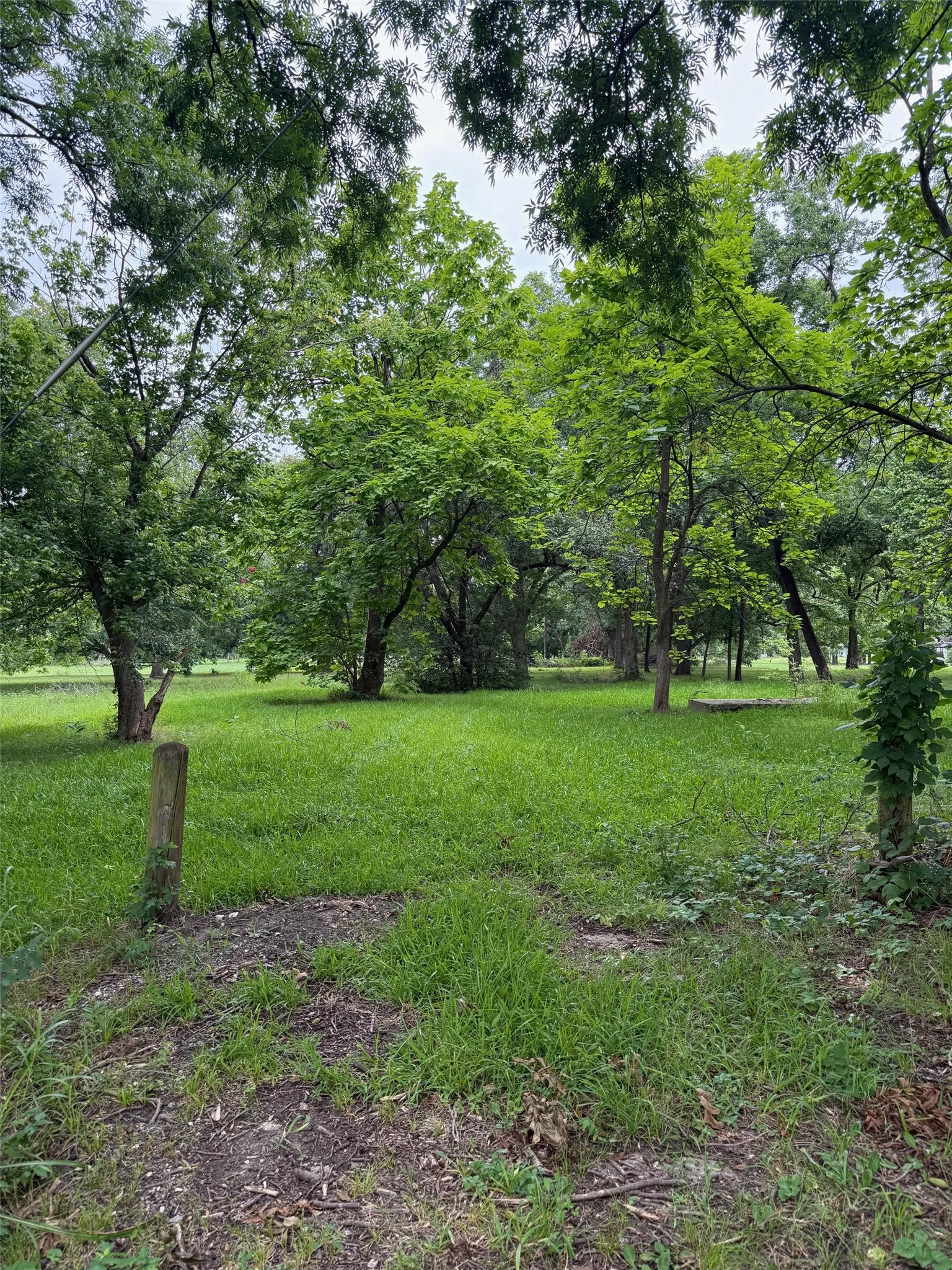 Unimproved Land For Sale in Fannin County , 510 Braz Street, Bonham, Texas 75418, 0, 0, Garage spaces, 0 Sqft, built in 0, mls#21332457, Real Estate Agent in Bonham, Homes For Sale in Fannin county, Homes For Sale in Bonham, Realtor in Bonham Texas, Real Estate Brokerage Independent Realty Texas, Luminita Cordes Realtor