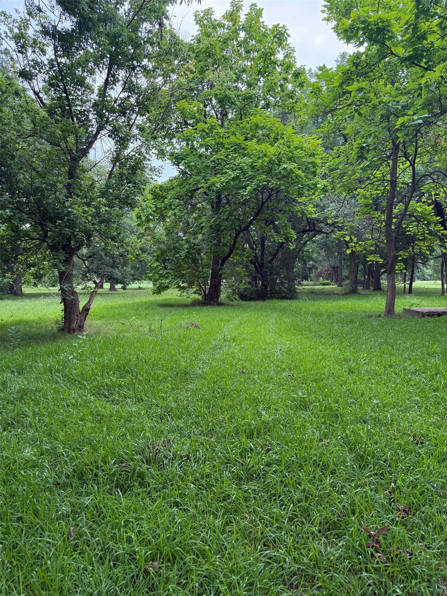 Unimproved Land For Sale in Fannin County , 510 Braz Street, Bonham, Texas 75418, 0, 0, Garage spaces, 0 Sqft, built in 0, mls#21332457, Real Estate Agent in Bonham, Homes For Sale in Fannin county, Homes For Sale in Bonham, Realtor in Bonham Texas, Real Estate Brokerage Independent Realty Texas, Luminita Cordes Realtor