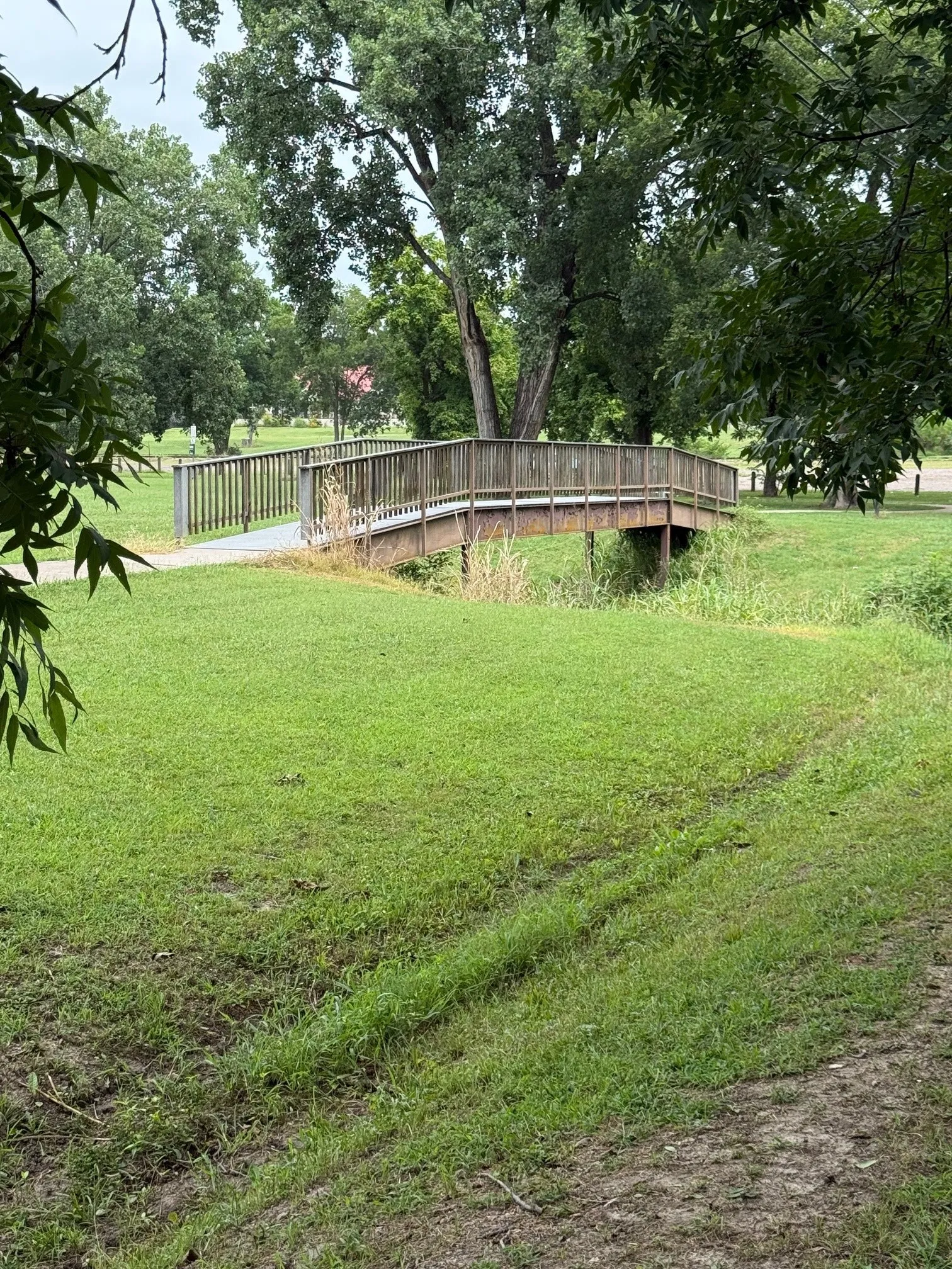 Bridge in Park
