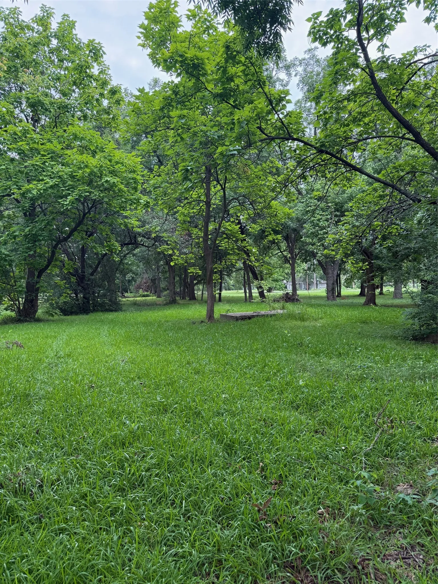 Unimproved Land For Sale in Fannin County , 510 Braz Street, Bonham, Texas 75418, 0, 0, Garage spaces, 0 Sqft, built in 0, mls#21332457, Real Estate Agent in Bonham, Homes For Sale in Fannin county, Homes For Sale in Bonham, Realtor in Bonham Texas, Real Estate Brokerage Independent Realty Texas, Luminita Cordes Realtor